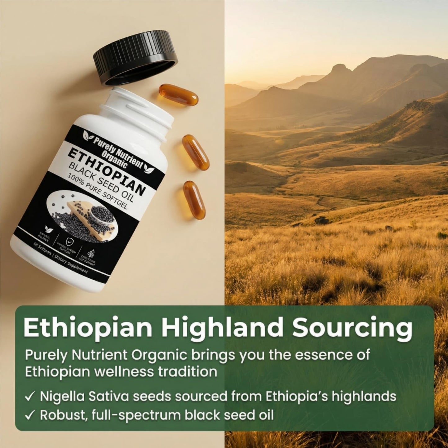 Purely Nutrient Organic Ethiopian Black Seed Oil Capsules, 60 Count