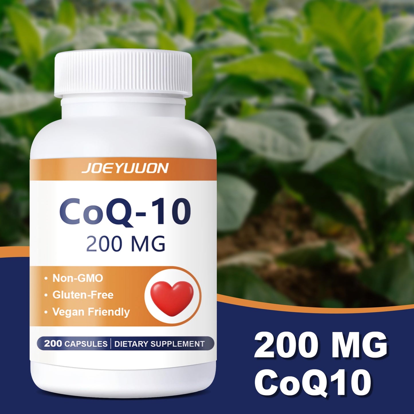Generic CoQ10 Supplement 200mg Capsule, 200 Capsules