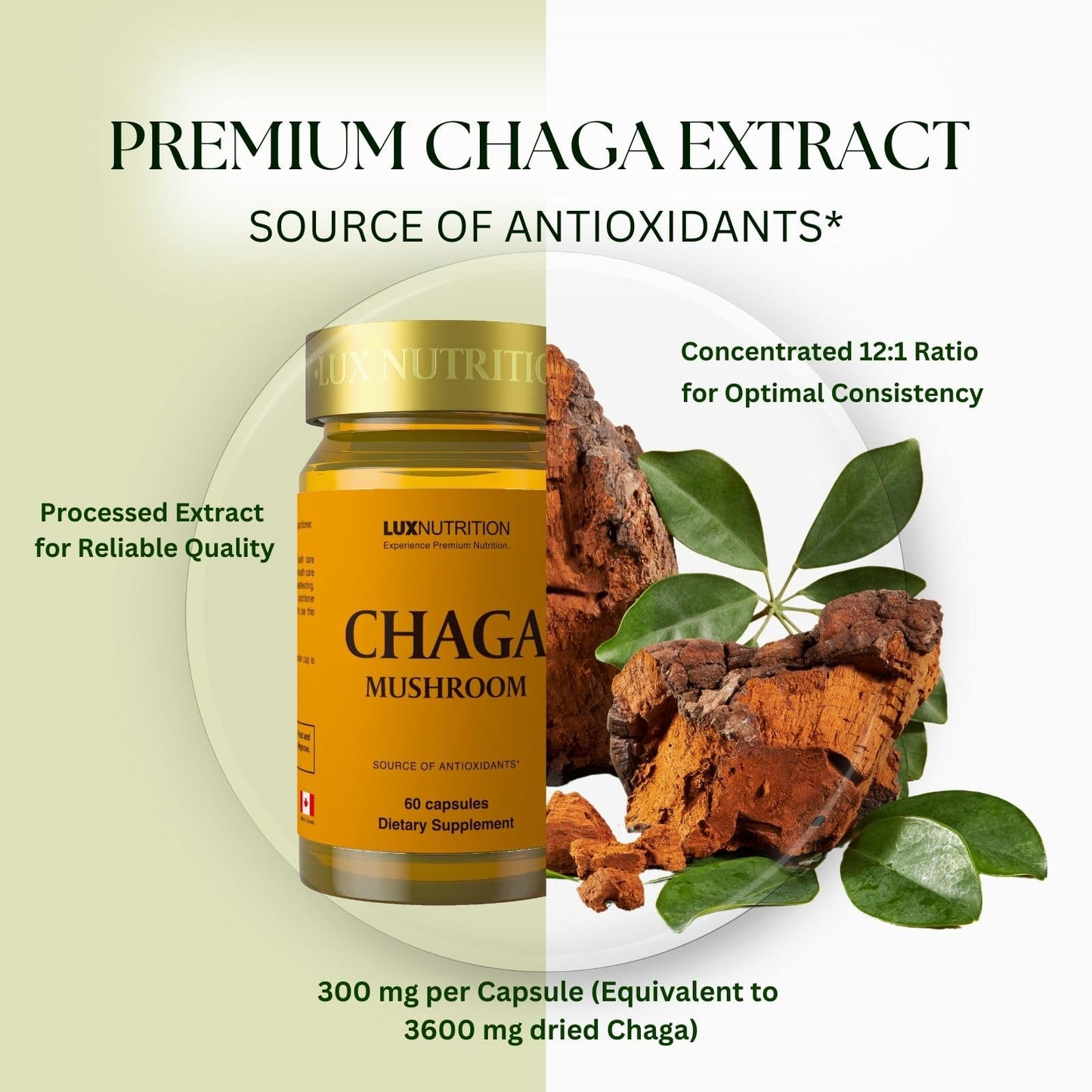 LUXNUTRITION Chaga Mushroom Extract Capsules, 60 Count