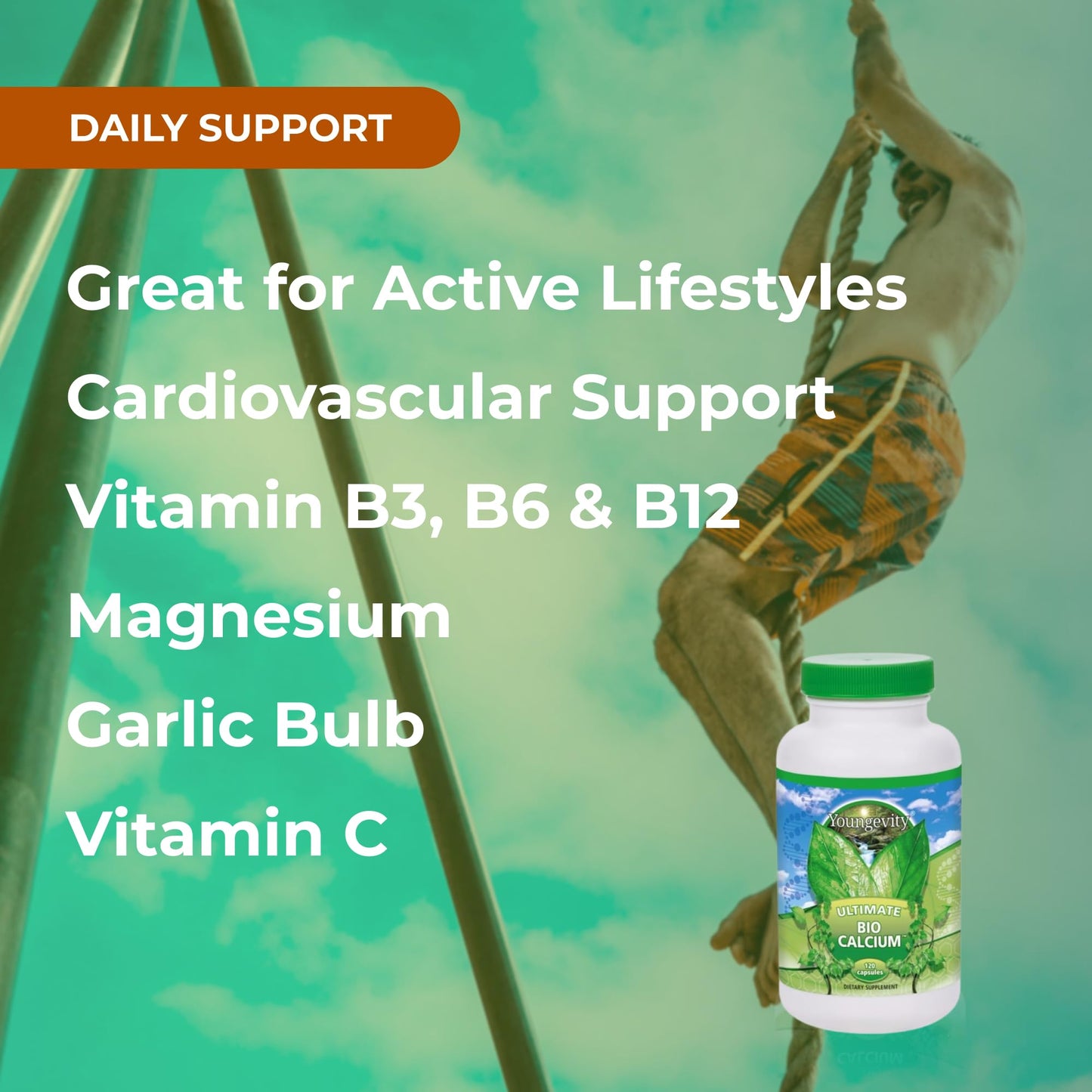 Youngevity Cardio FX Cardiovascular Support Supplement with CoQ10 Capsule, 1 Count