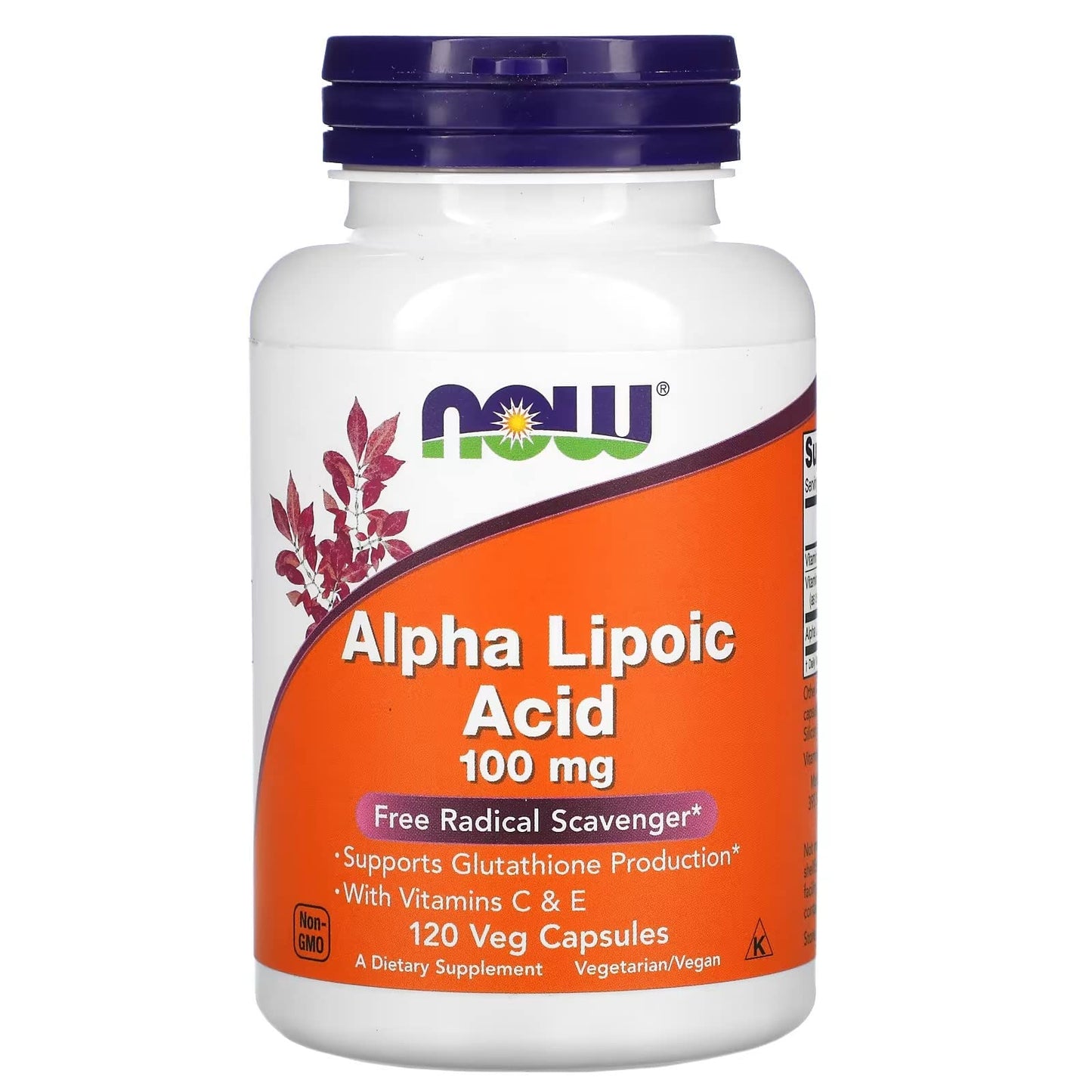 NOW Foods Alpha Lipoic Acid 100mg Capsule, 1 Count