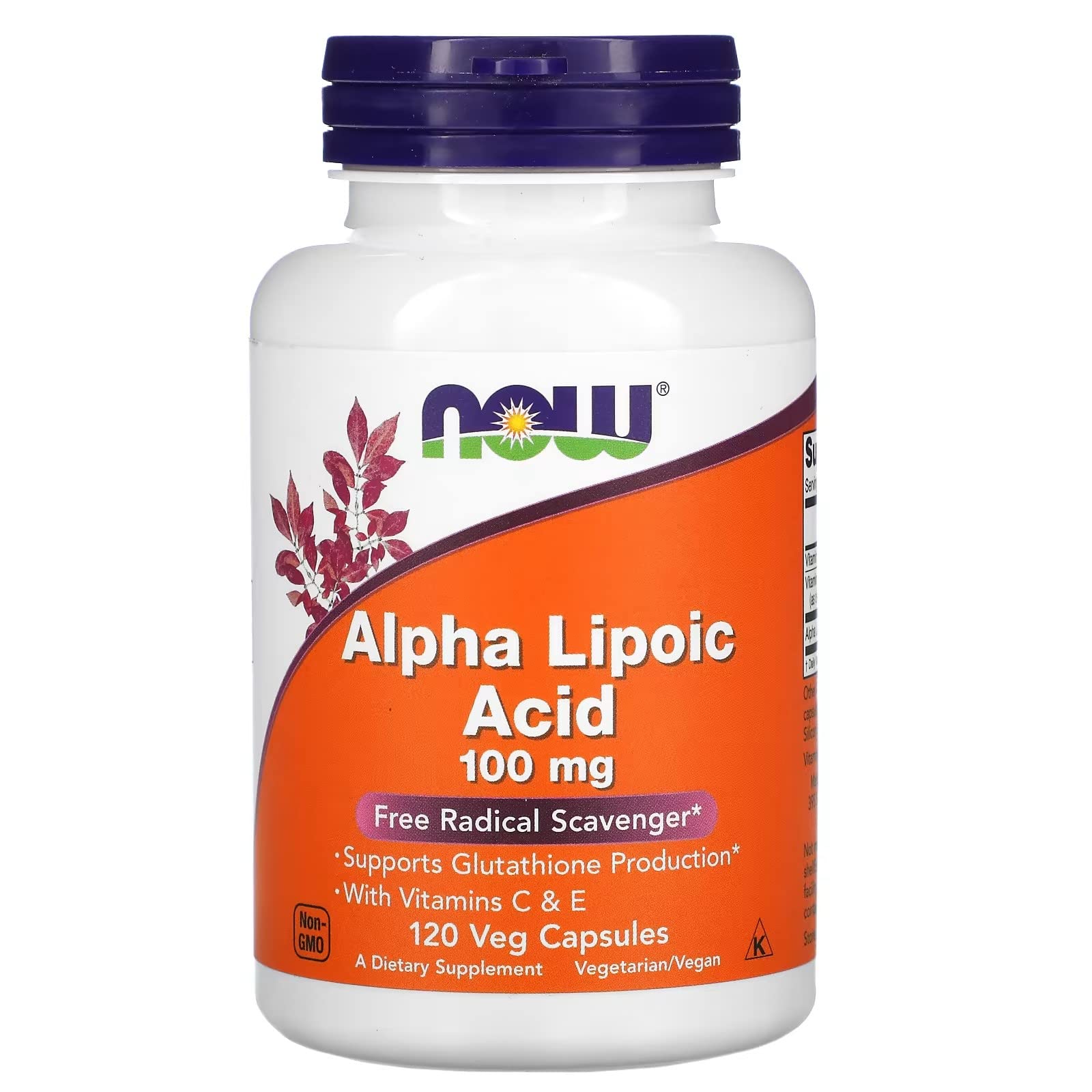 NOW Foods Alpha Lipoic Acid 100mg Capsule, 1 Count
