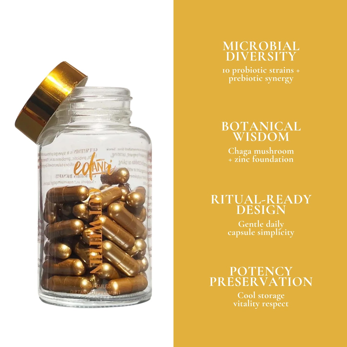 edandi Gut Within Prebiotic & Probiotic Supplement, 60 Capsules