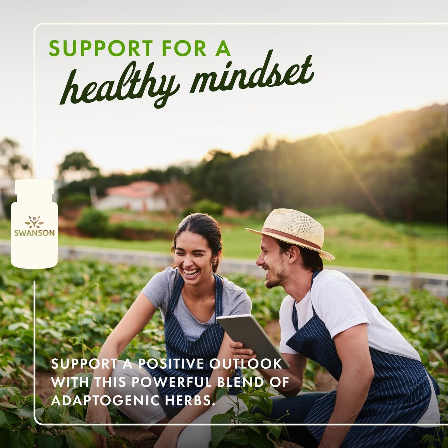 Swanson Rhodiola Ashwagandha Ginseng Complex Vegan Capsules 60 Count