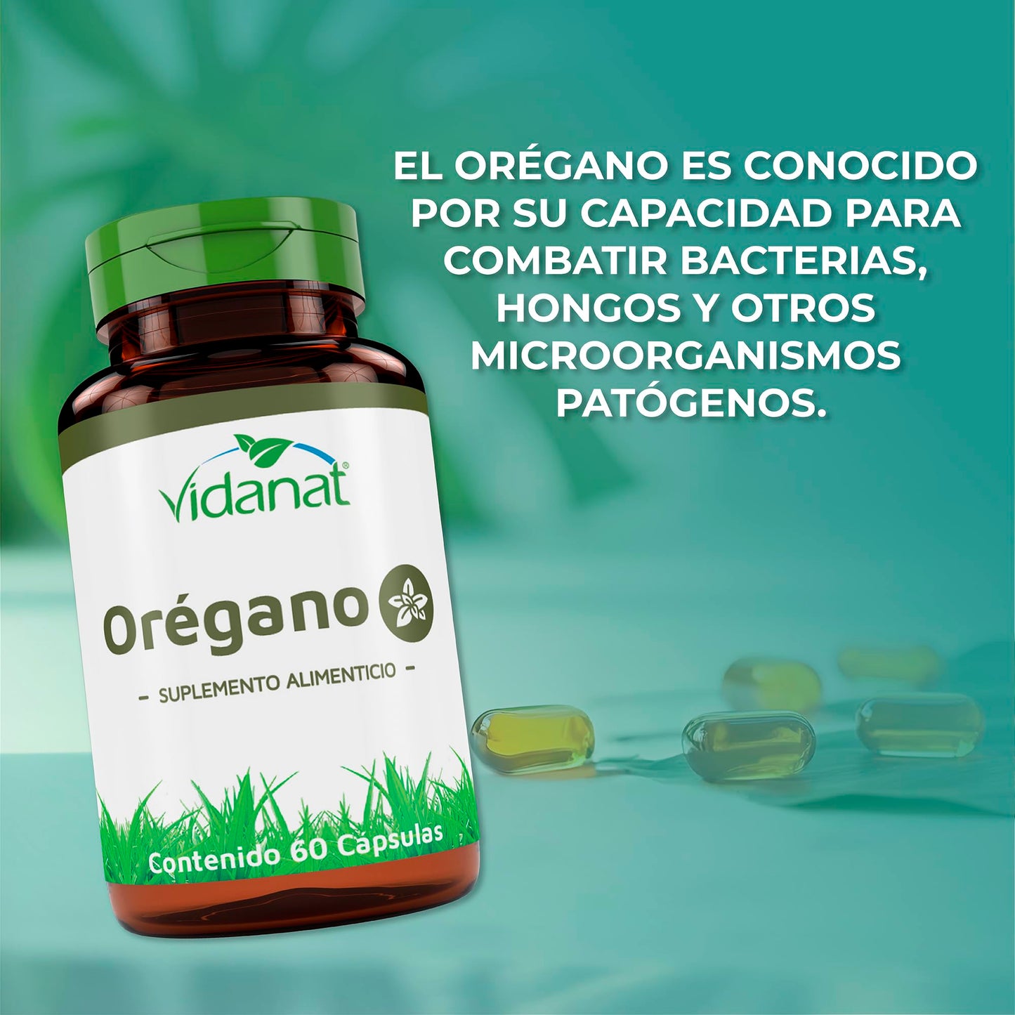 Vidanat Oregano Supplement 108 Capsules