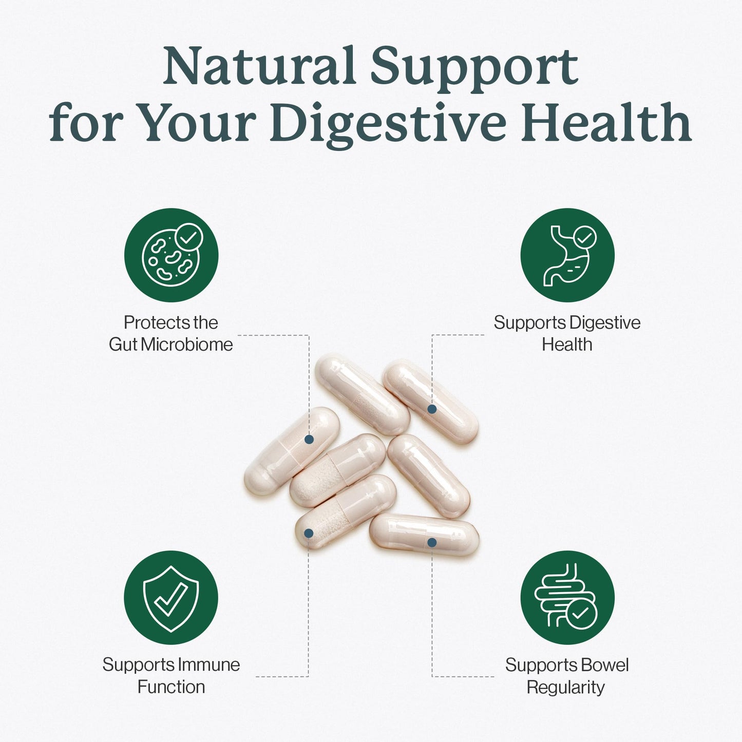 Dr. Fuhrman Prebiotic and Probiotic for Women & Men 60 Capsules