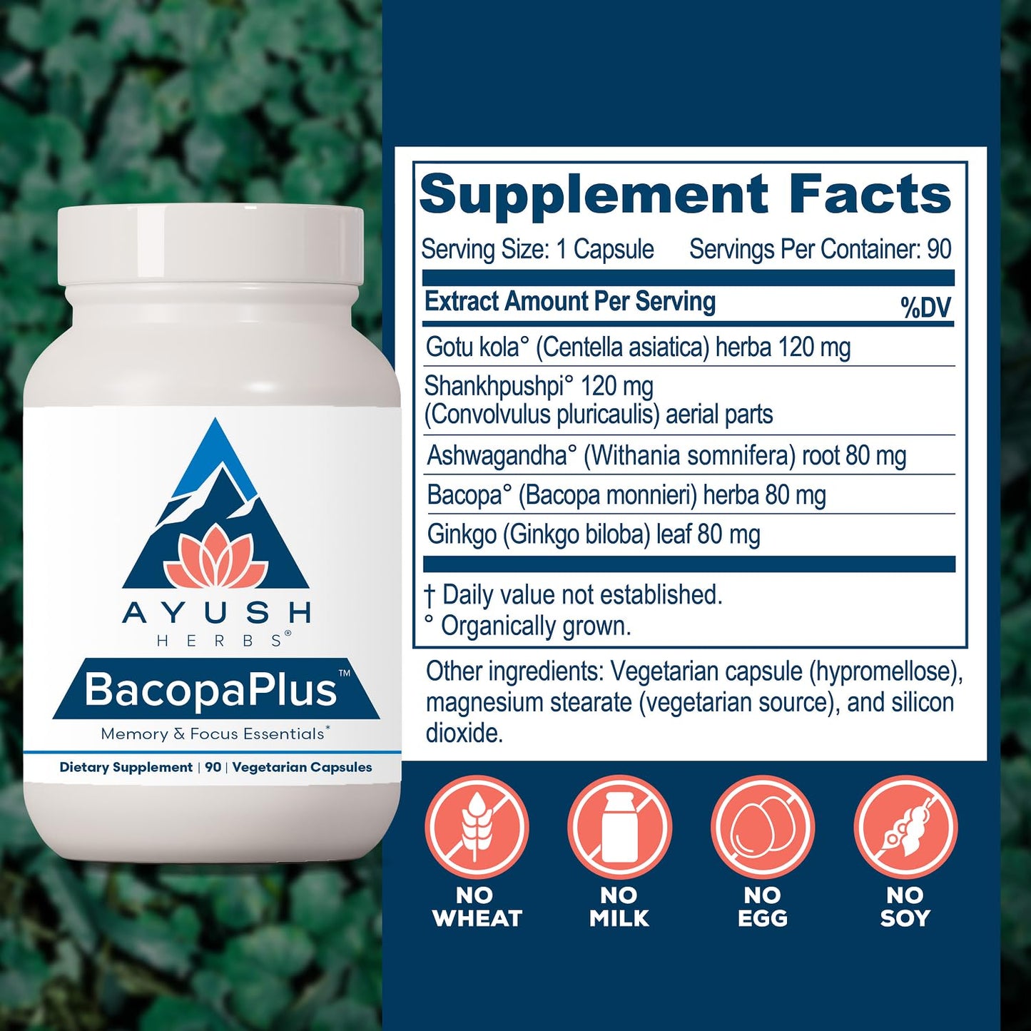 Ayush Herbs BacopaPlus Capsules 90