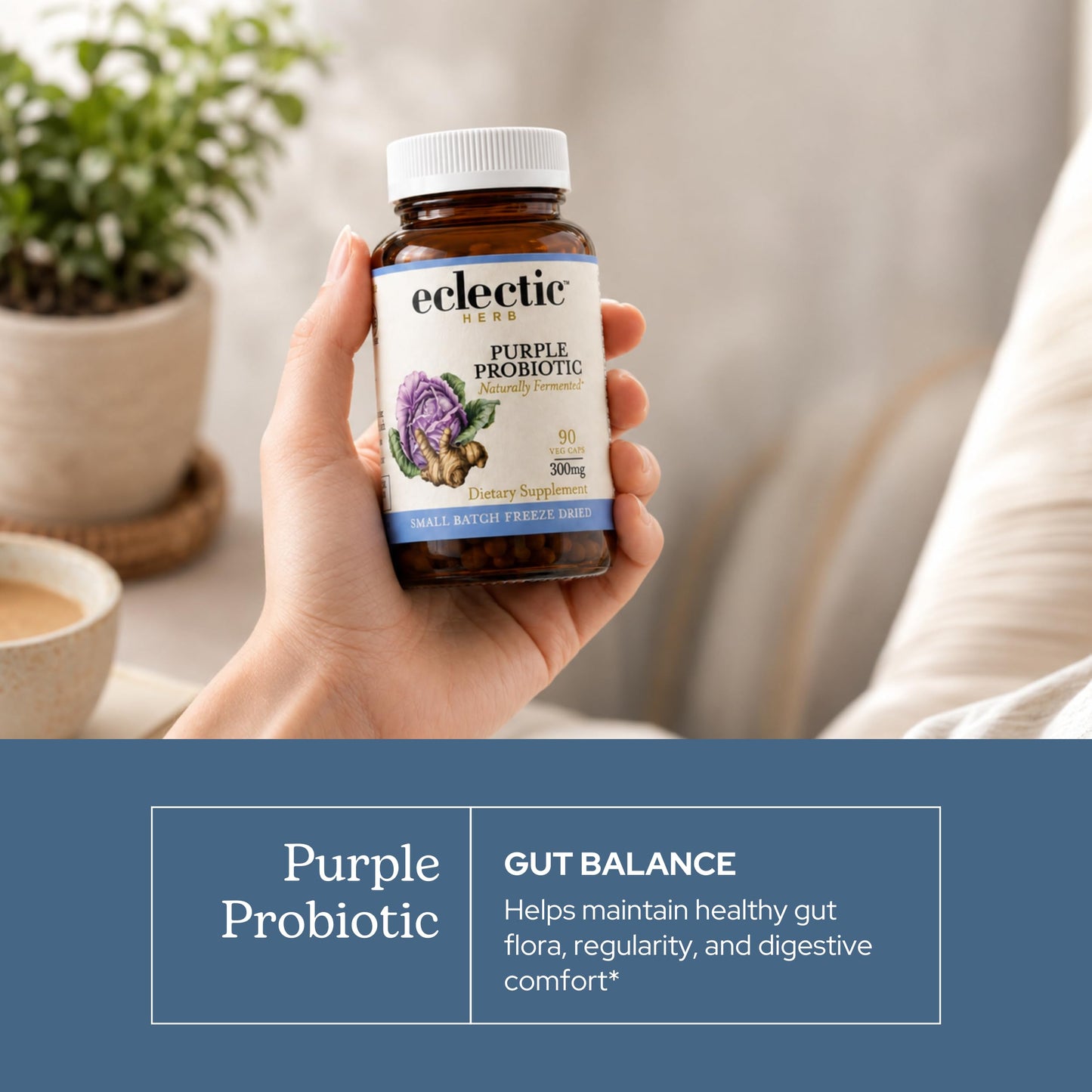 Eclectic Institute Purple Probiotic Capsules, 90 Capsules
