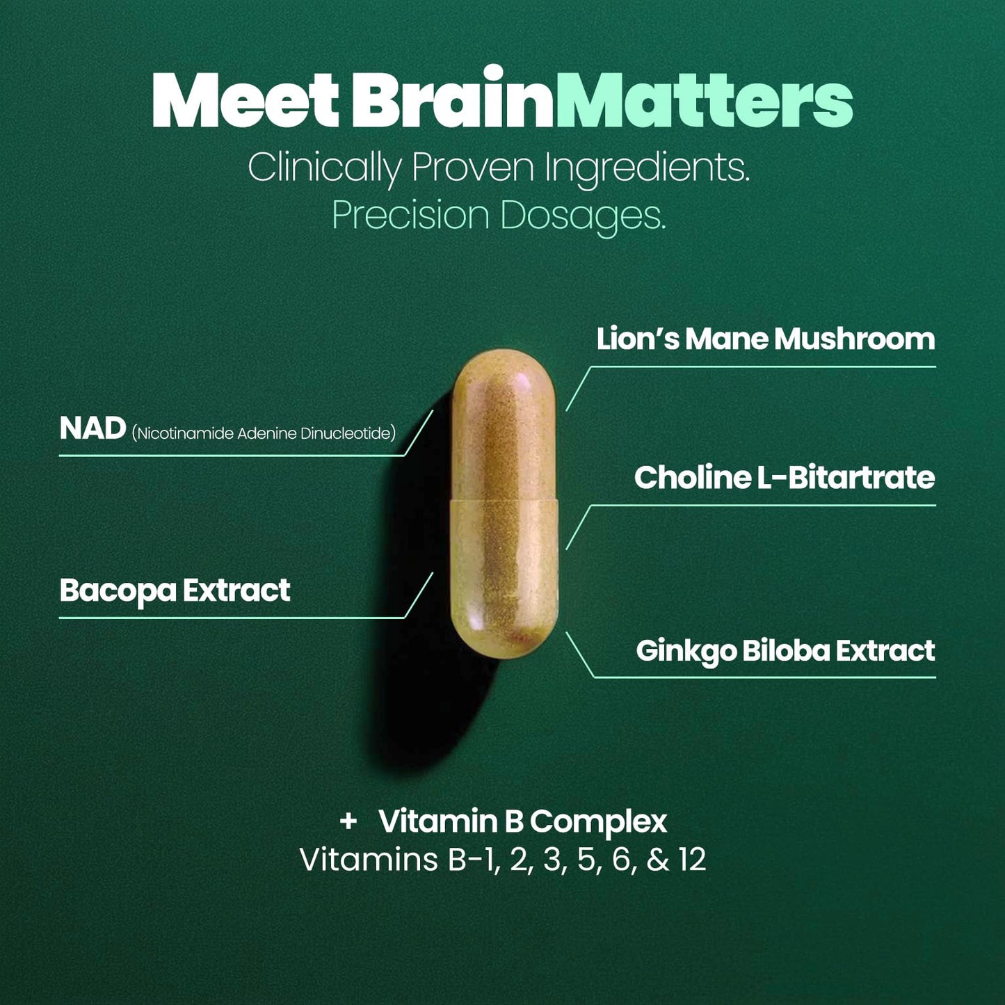 Daily Fix Wellness BrainMatters Nootropic Supplement with Bacopa, Ginkgo Biloba, Lion's Mane Mushroom, B Complex, NAD, Choline for Memory and Focus, 60 Capsules