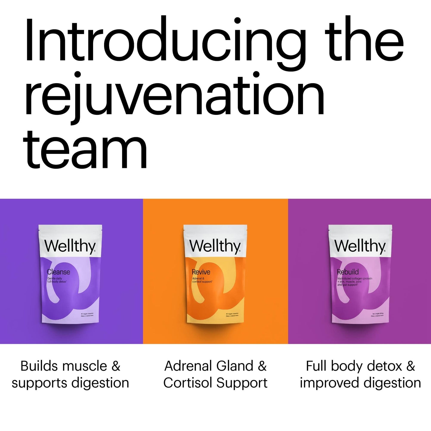 Wellthy Revive Stress Support Capsule, 60 Count
