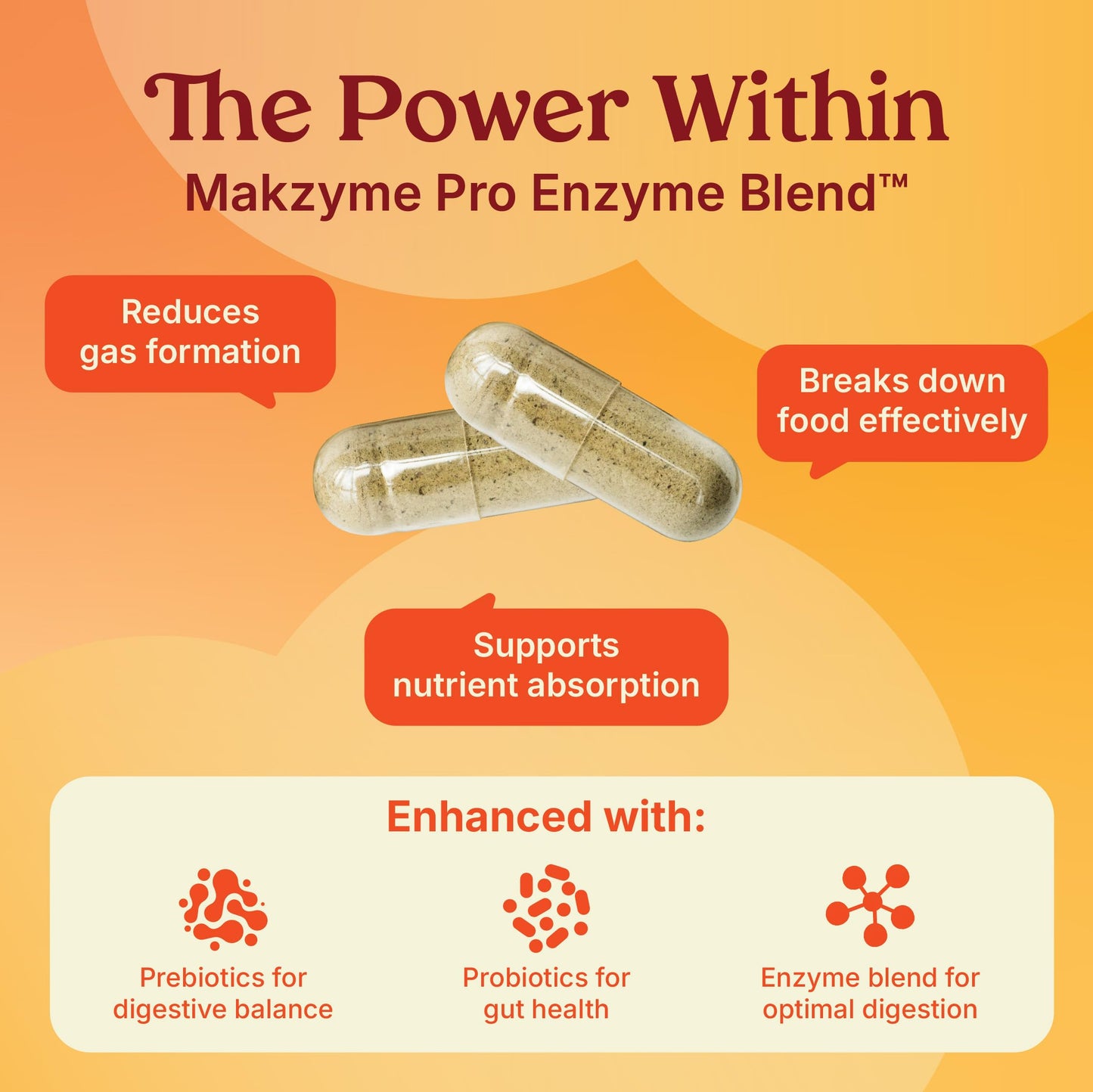 Poop Like a Champion Bloating Relief Digestive Enzymes, Probiotic Powered Capsules to Support Digestive Health and Gas Relief, 60 Capsules