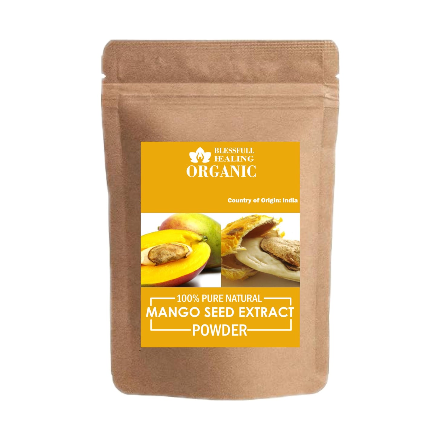 Blessfull Healing Organic Mango Seed Extract Powder, 100 Gram