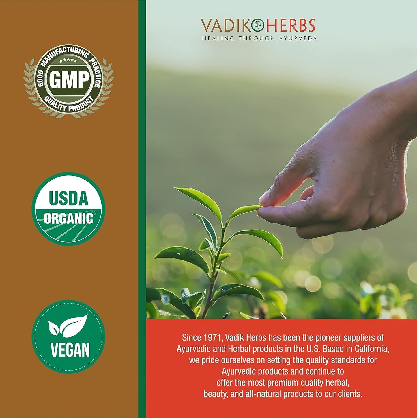 Vadik Herbs Certified Organic Vidanga (Embelia Ribes) Capsule, 100 Count