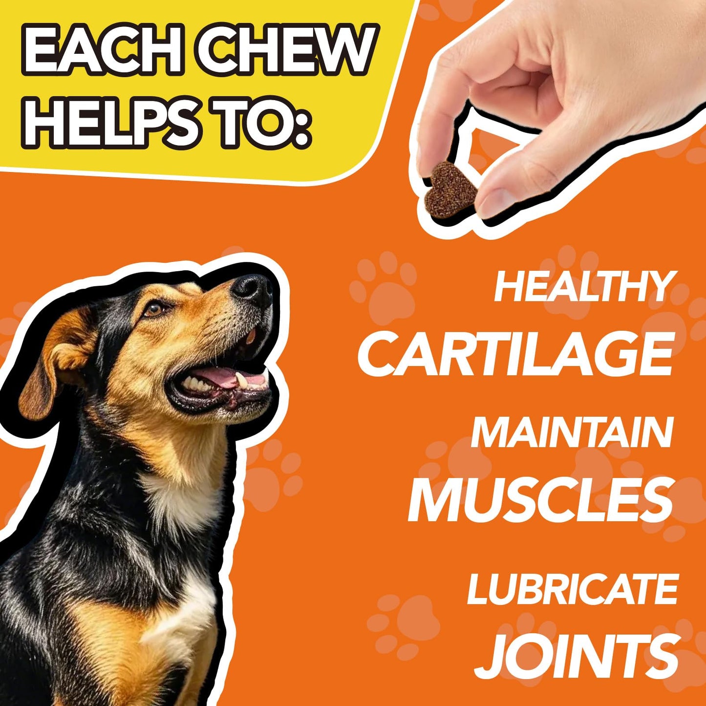 MEGNETA Hip and Joint Supplement for Dogs Chewable, 90 Chews
