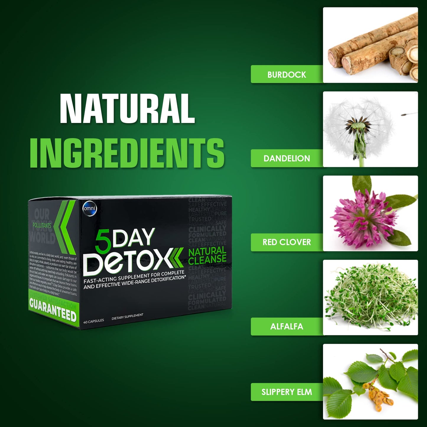 Wellgenix Omni 5 Day Detox Cleanse Premium Natural Body Detox Supplement Capsule, 40 Capsules