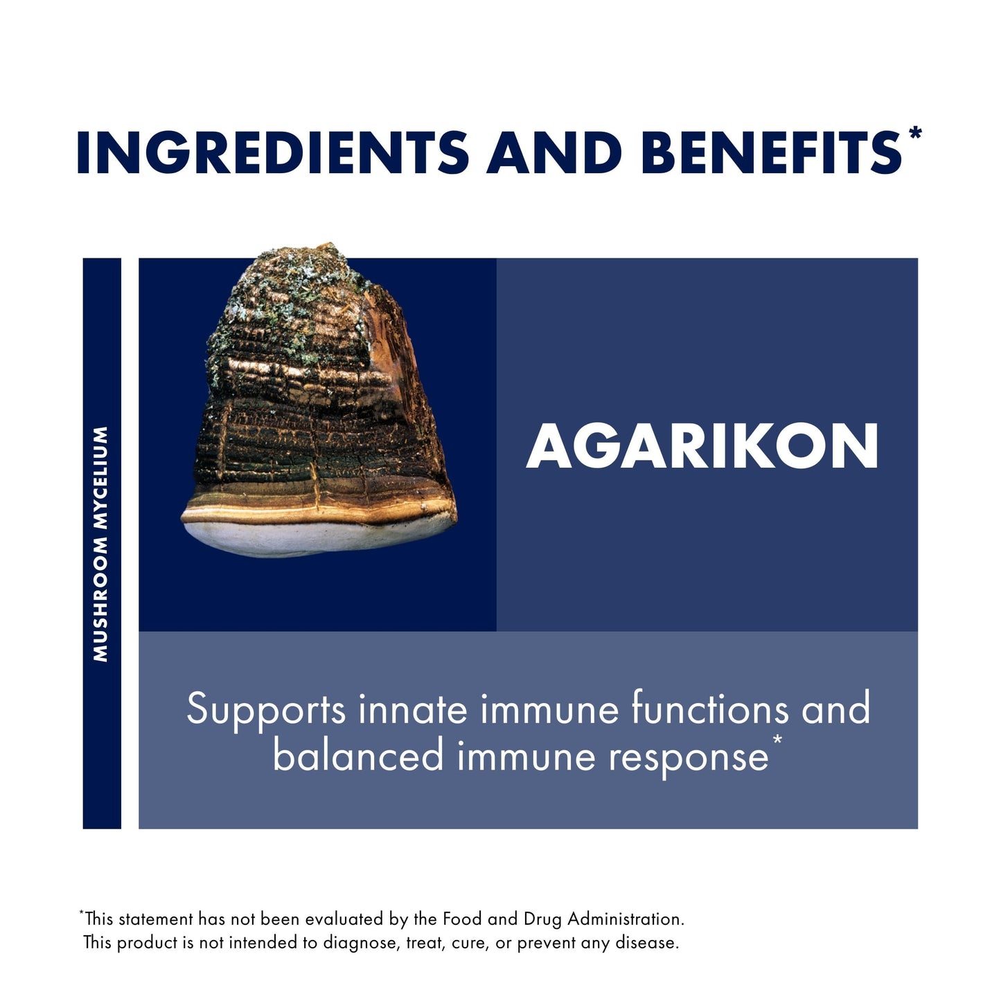 Host Defense Agarikon Capsules 60 Count