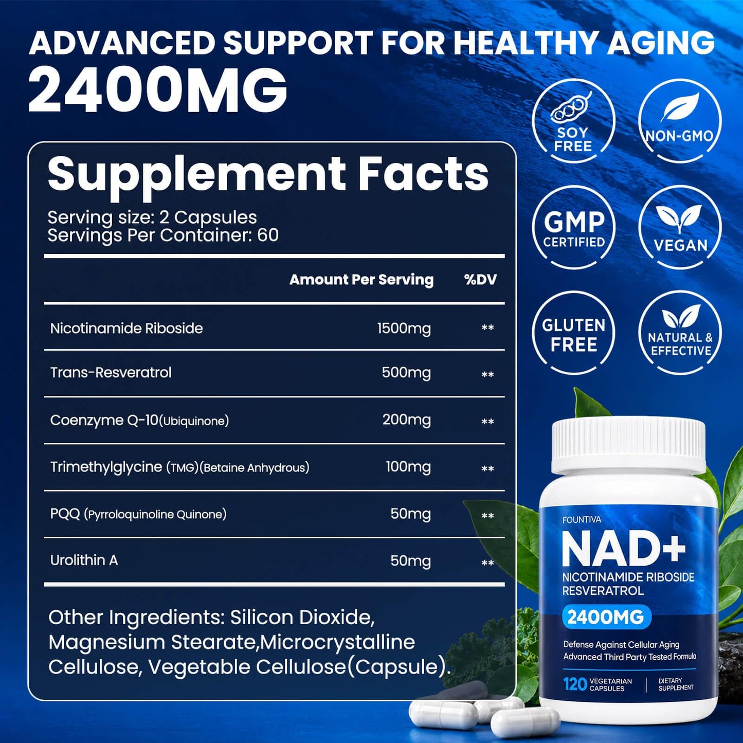 FOUNTIVA Liposomal NAD Supplement 2400mg NAD+ Nicotinamide Riboside with Resveratrol, CoQ10, TMG & PQQ Capsules, 120 Count