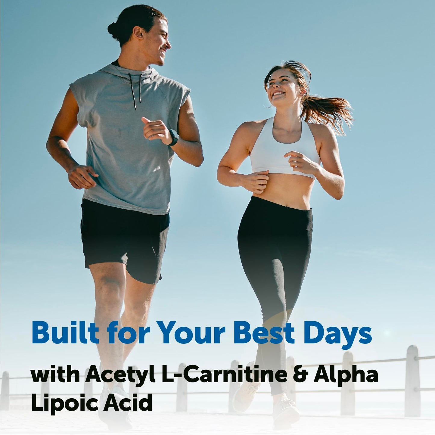 Micro Ingredients Acetyl L-Carnitine (ALCAR) 1,000 mg Per Serving Softgels 240 Count