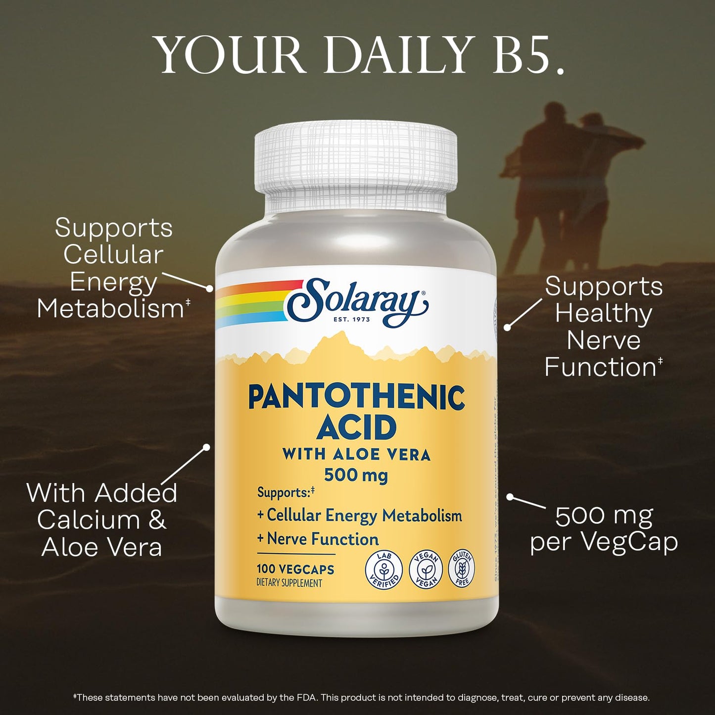 Solaray Pantothenic Acid 500mg Capsule, 100 Capsules