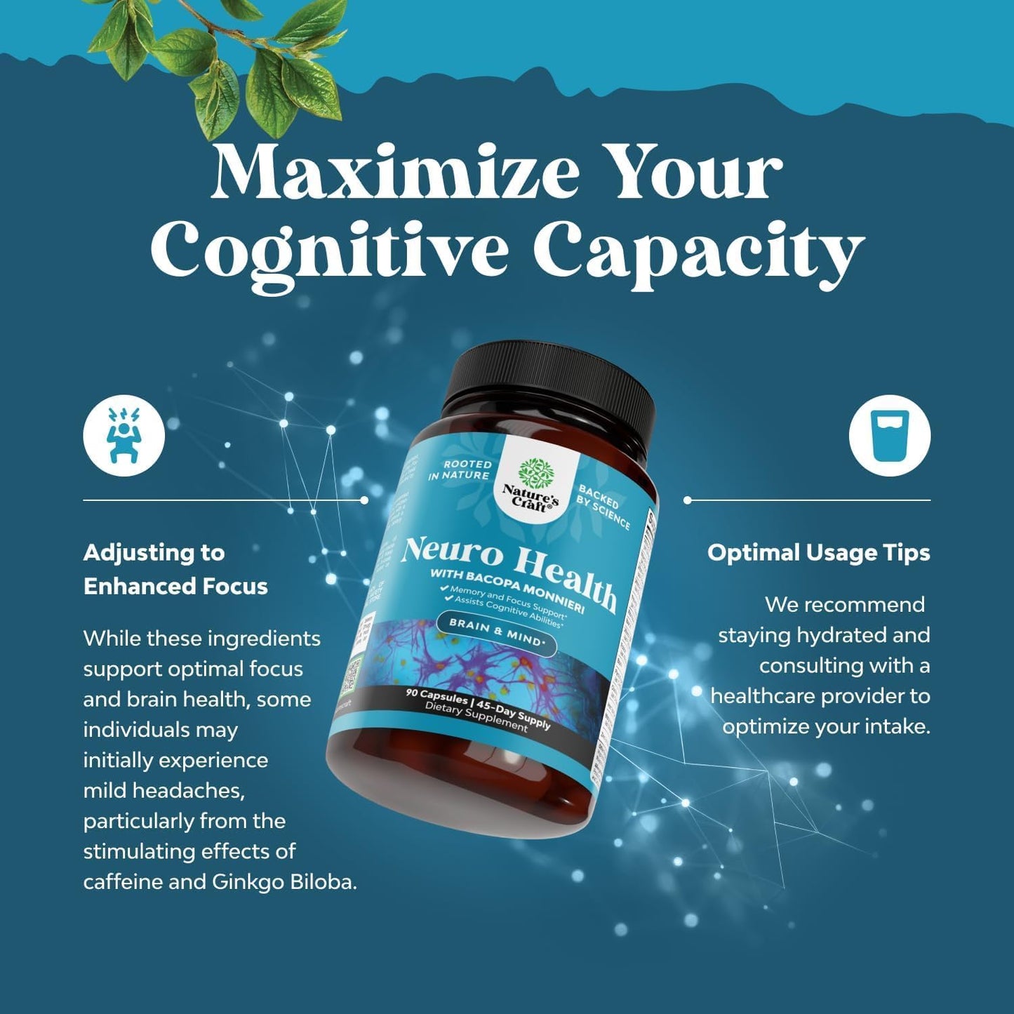 Natures Craft Nootropic Brain Supplement for Memory and Focus Support Capsule 90 Count