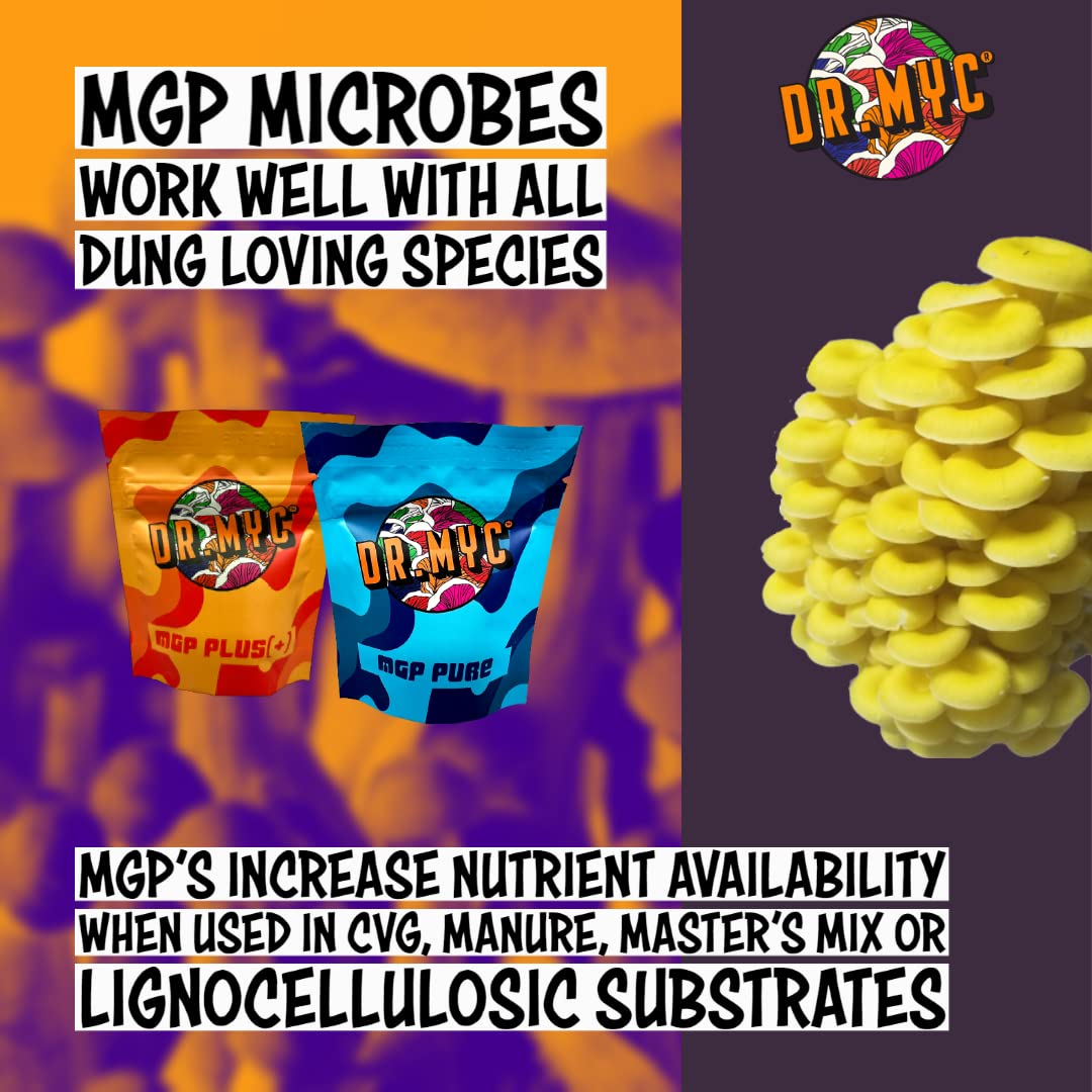 DRMyc MGP Pure Growth Promoter for Mushrooms Powder 25 Grams