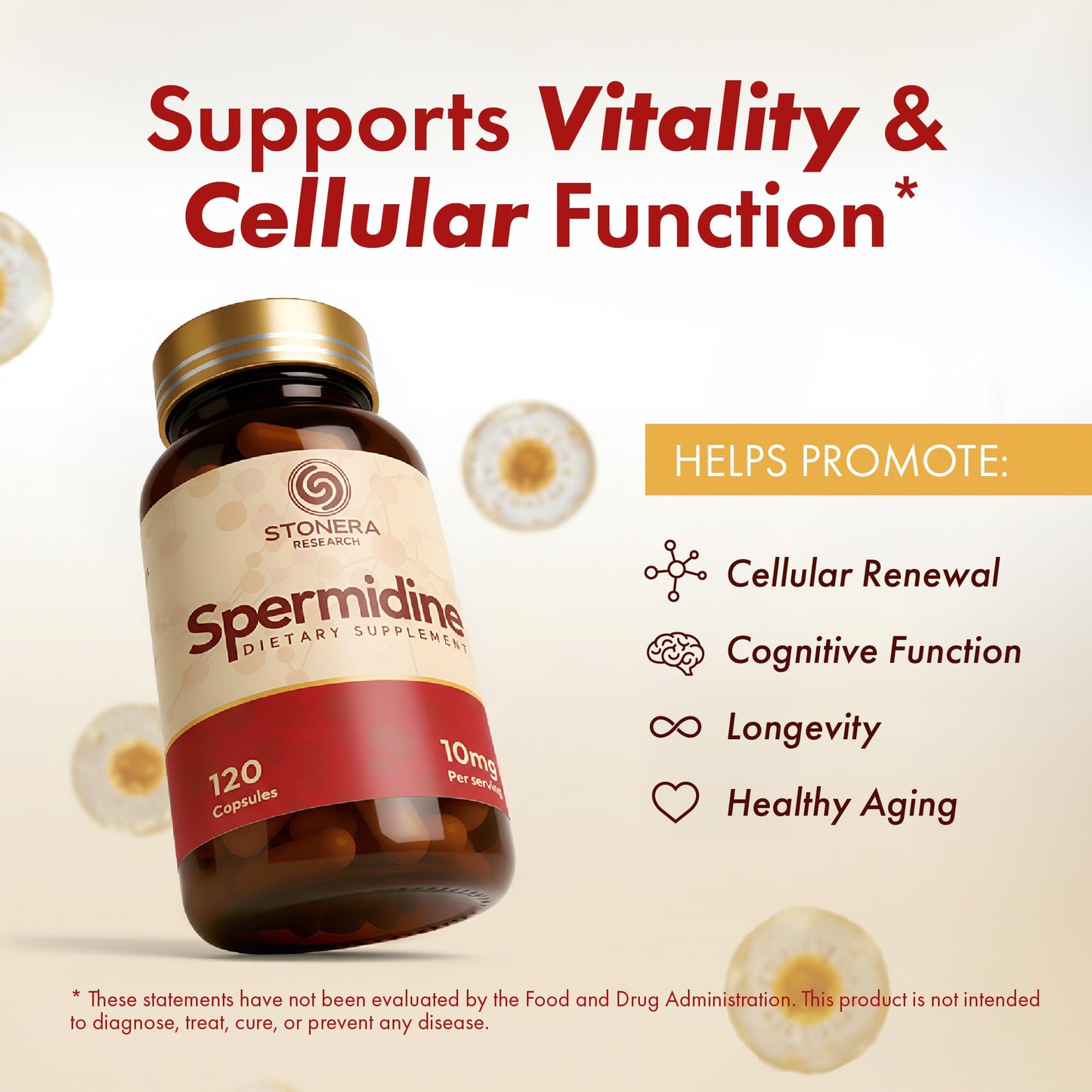 STONERA Spermidine Supplement, Cellular Renewal & Longevity Support, 10mg per Serving, 120 Capsules