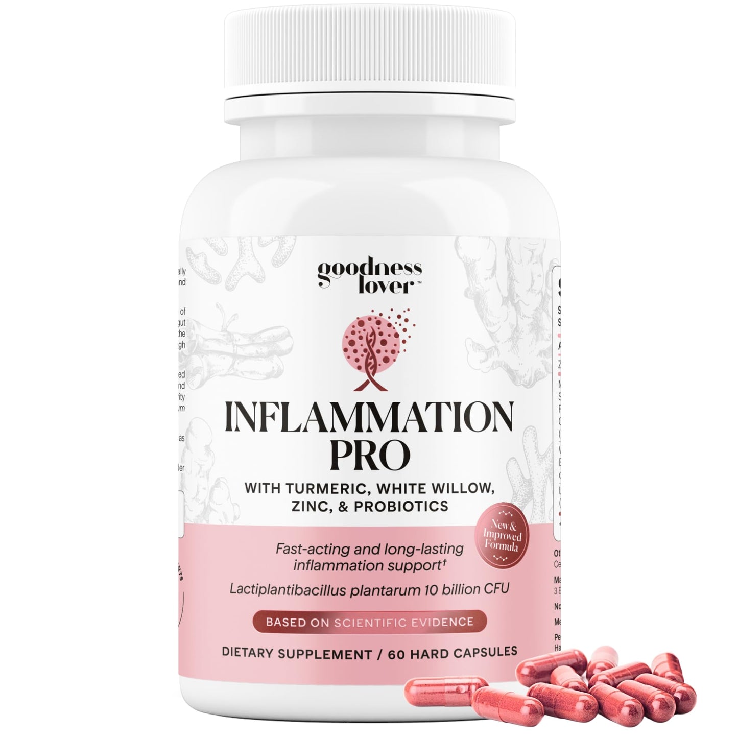 Goodness Lover Inflammation Pro Turmeric Curcumin Supplement, 60 Capsules