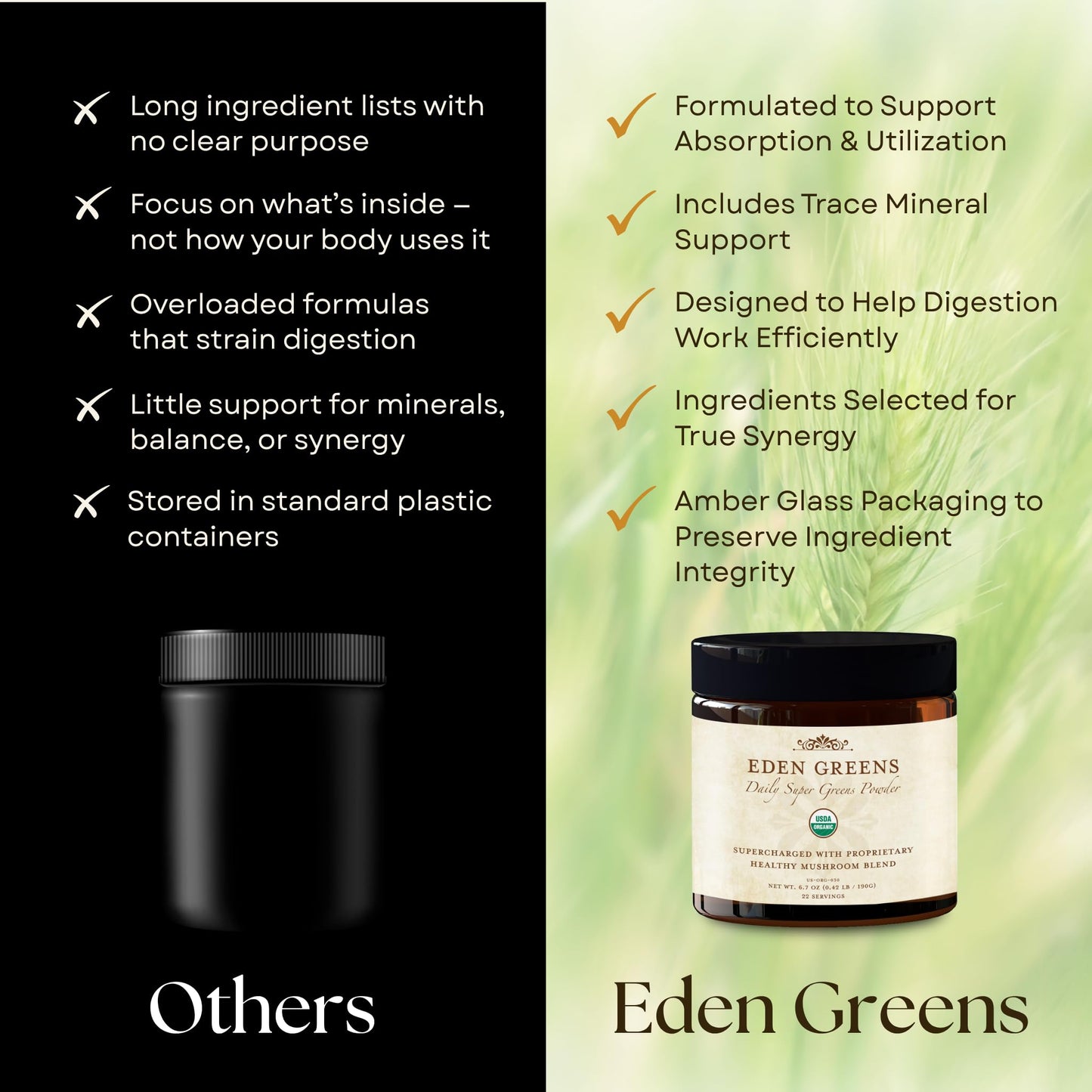 Wisdom Nutrition Organic Super Greens Powder with Mushroom Blend, Powder, 6 oz