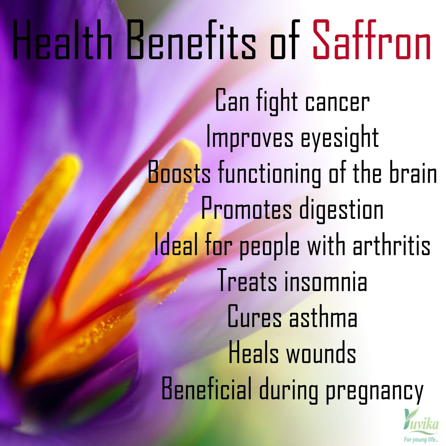 Yuvika Kesar Powder Saffron Powder, 5 Grams, 1 Pack