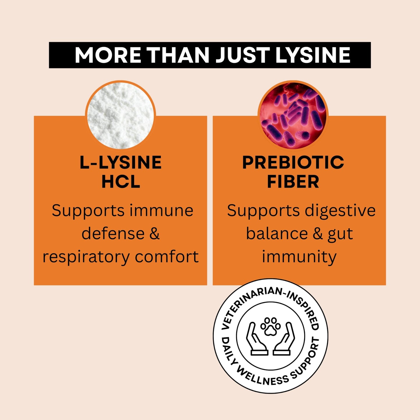 NOVEHA L-Lysine Powder for Cats and Kittens 500mg, Natural Salmon Flavor, 150 g