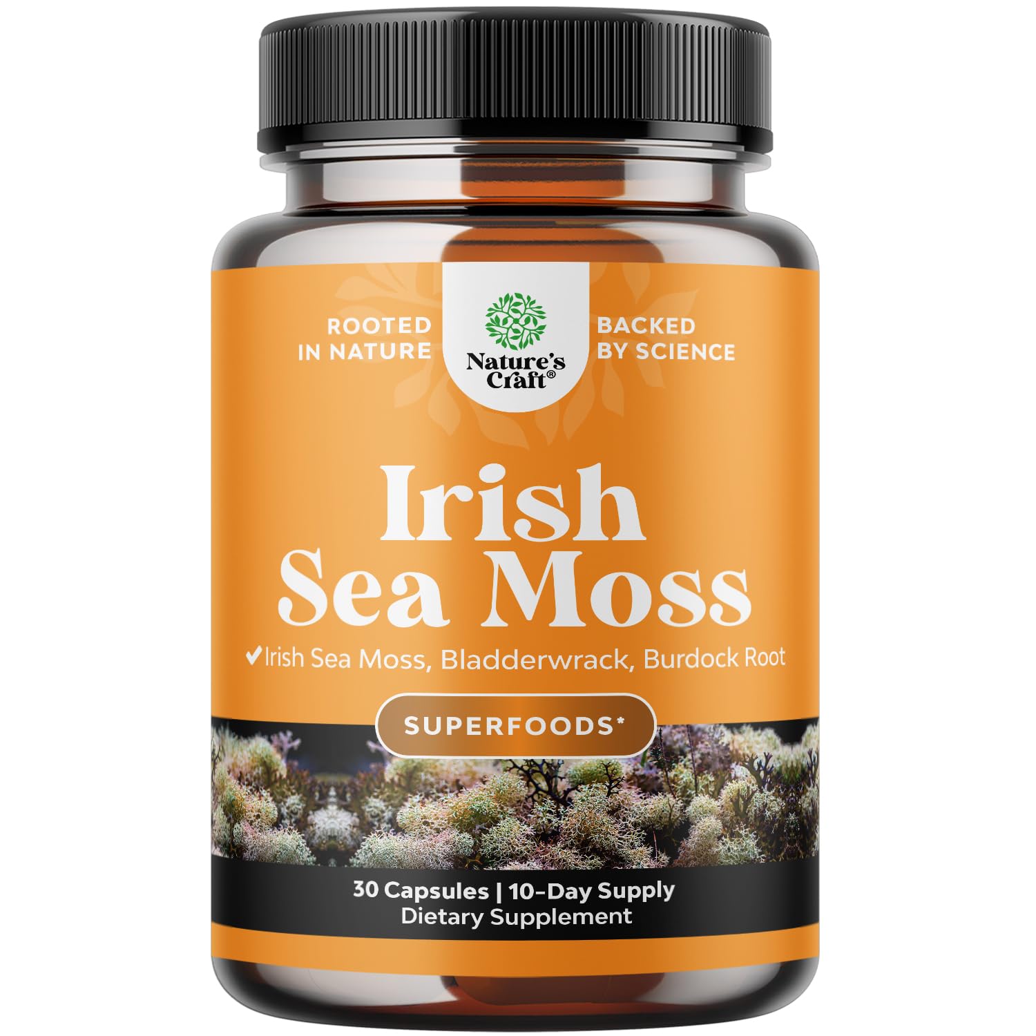 Natures Craft Irish Sea Moss Capsules with Bladderwrack and Burdock Root - Immune Support, Heart Health, Thyroid Support - 30 Capsules