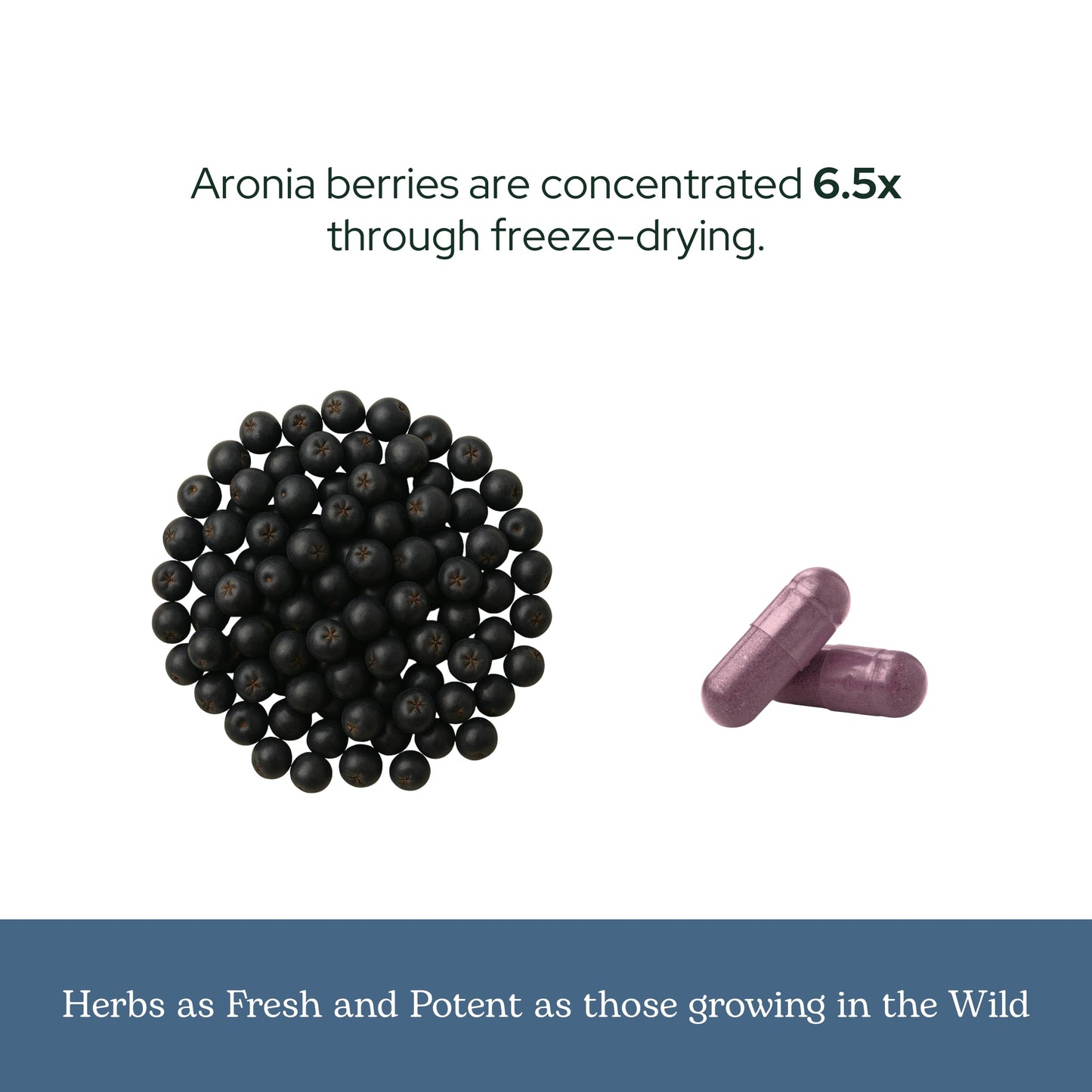 Eclectic Institute Raw Freeze-Dried Organic Aronia Berry Capsules, 90 Count