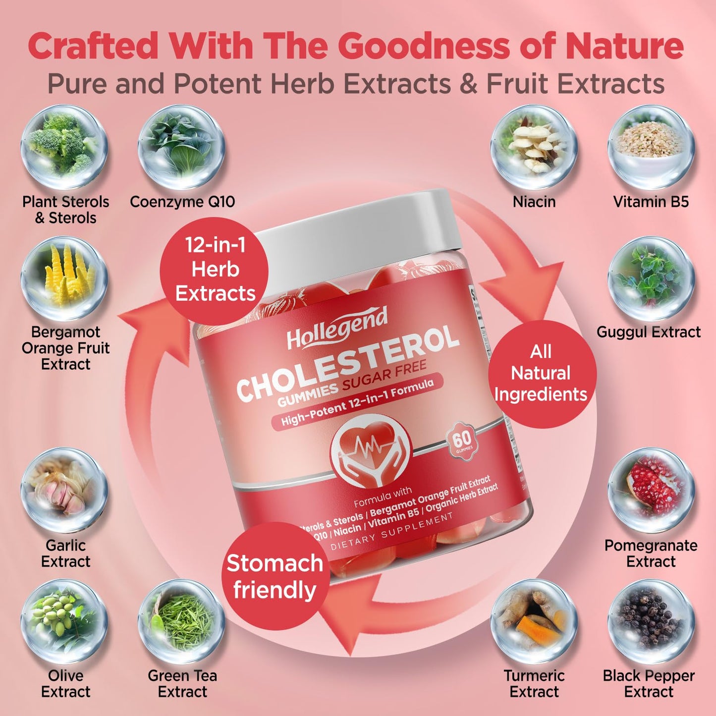 HOLLEGEND Cholesterol Gummies Gummy, 60 Count