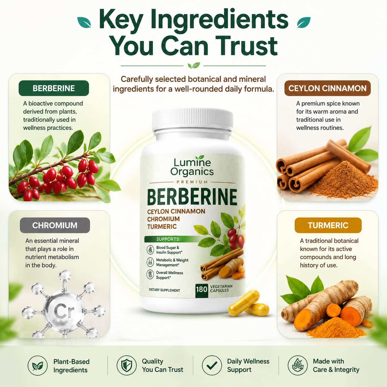 Lumine Organics Berberine with Ceylon Cinnamon - 4 in 1 Complex Softgel 1