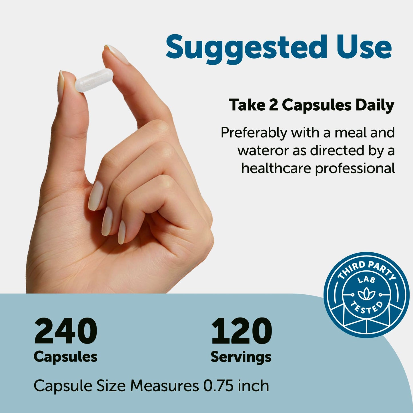 Micro Ingredients DHEA 50 mg Capsule, 240 Capsules
