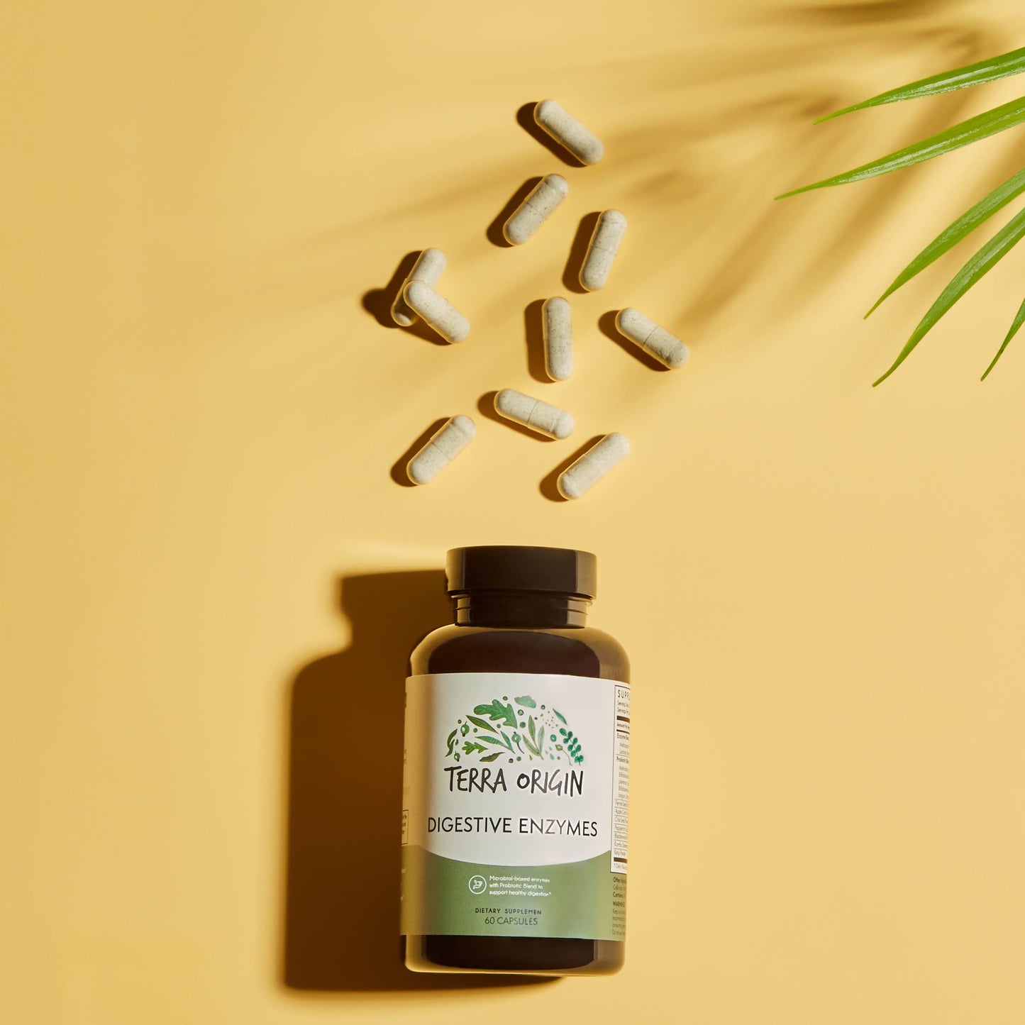 TERRA ORIGIN Digestive Enzymes with Probiotics & Prebiotics, 60 Capsules