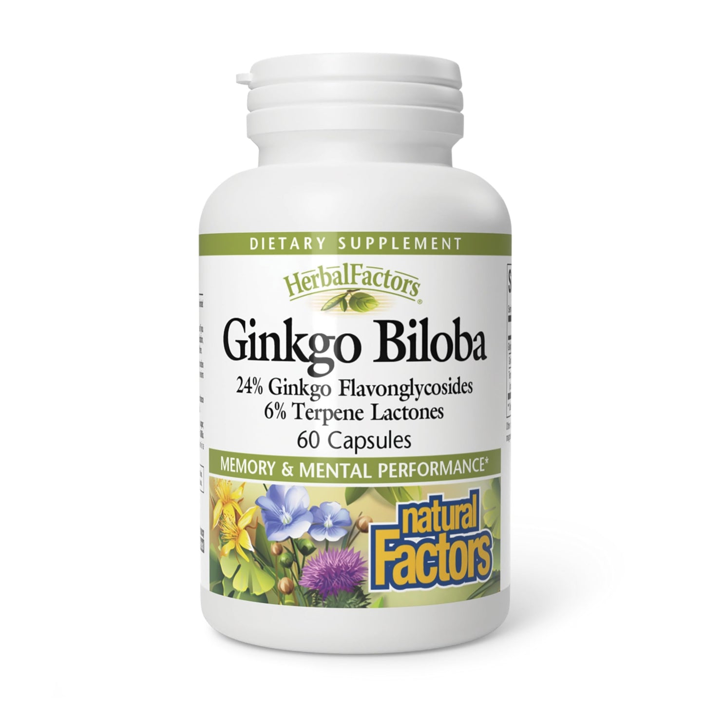 Natural Factors Ginkgo Biloba Capsule, 60 Capsules