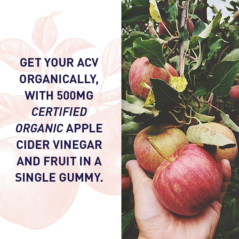 Garden of Life Organics Apple Cider Vinegar Gummies with Vitamin B12, 60 Gummies