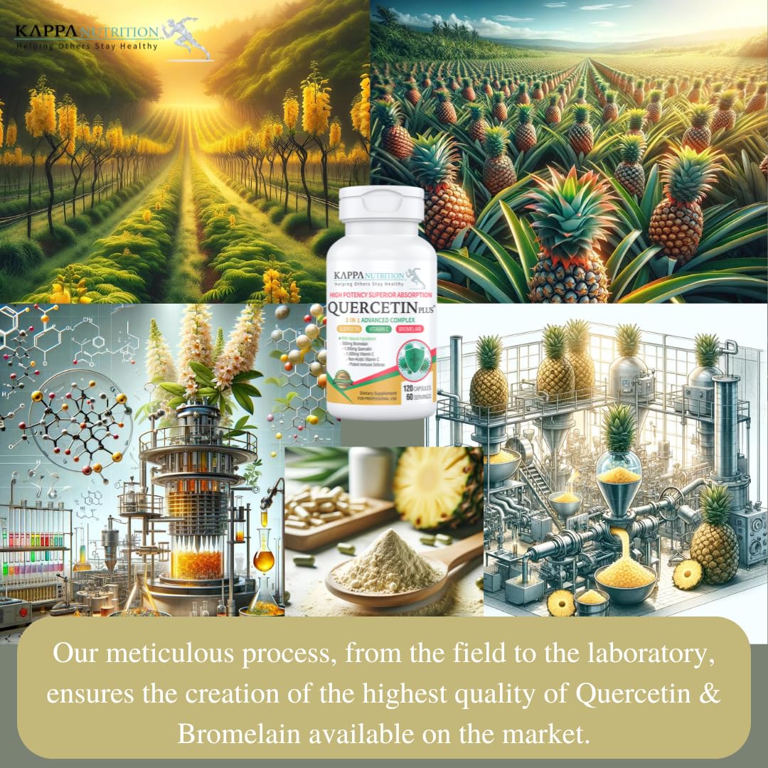 KAPPA NUTRITION Quercetin Plus Capsule 120 Count