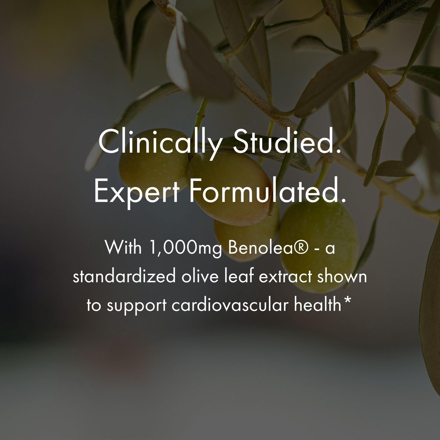NAOMI BP Advanced Olive Leaf Extract & Vitamin K2 Capsules, 60 Count