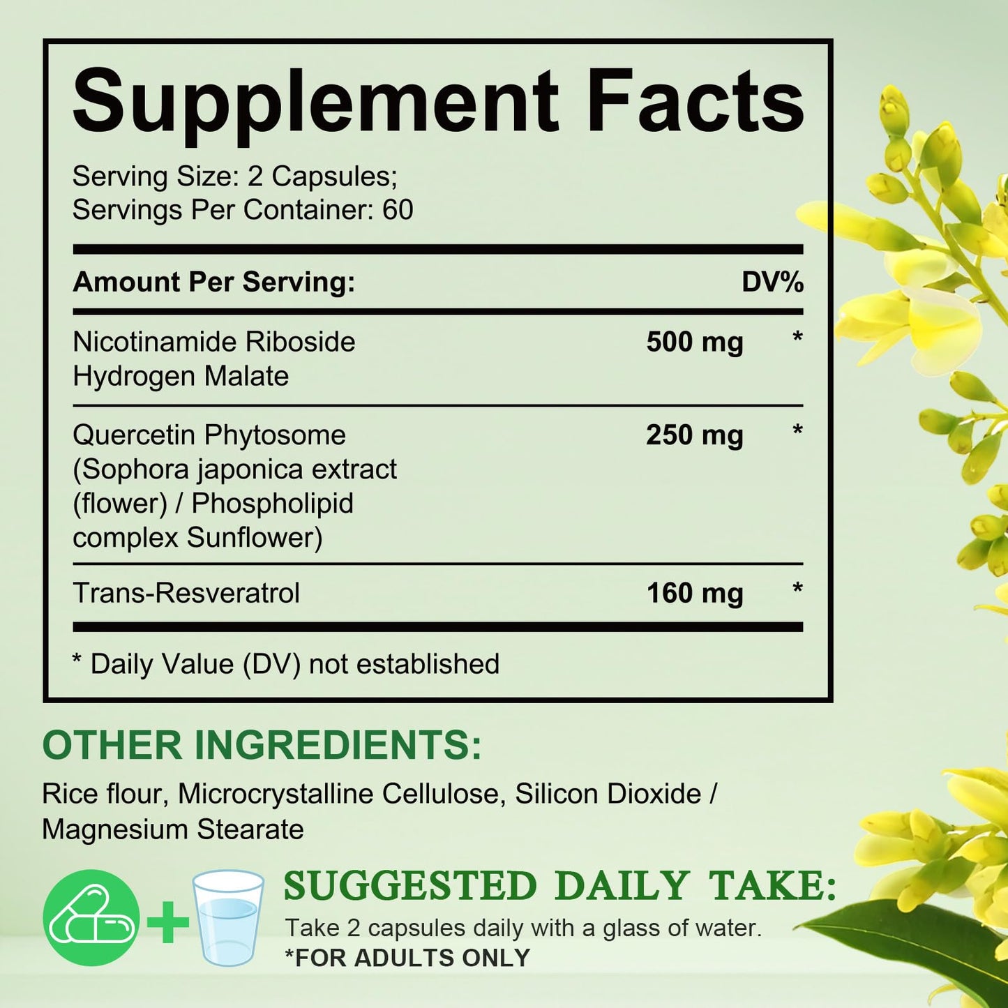 NIFEISHI NAD+ Supplement Nicotinamide Riboside Liposomal, 910 mg, 120 Capsules