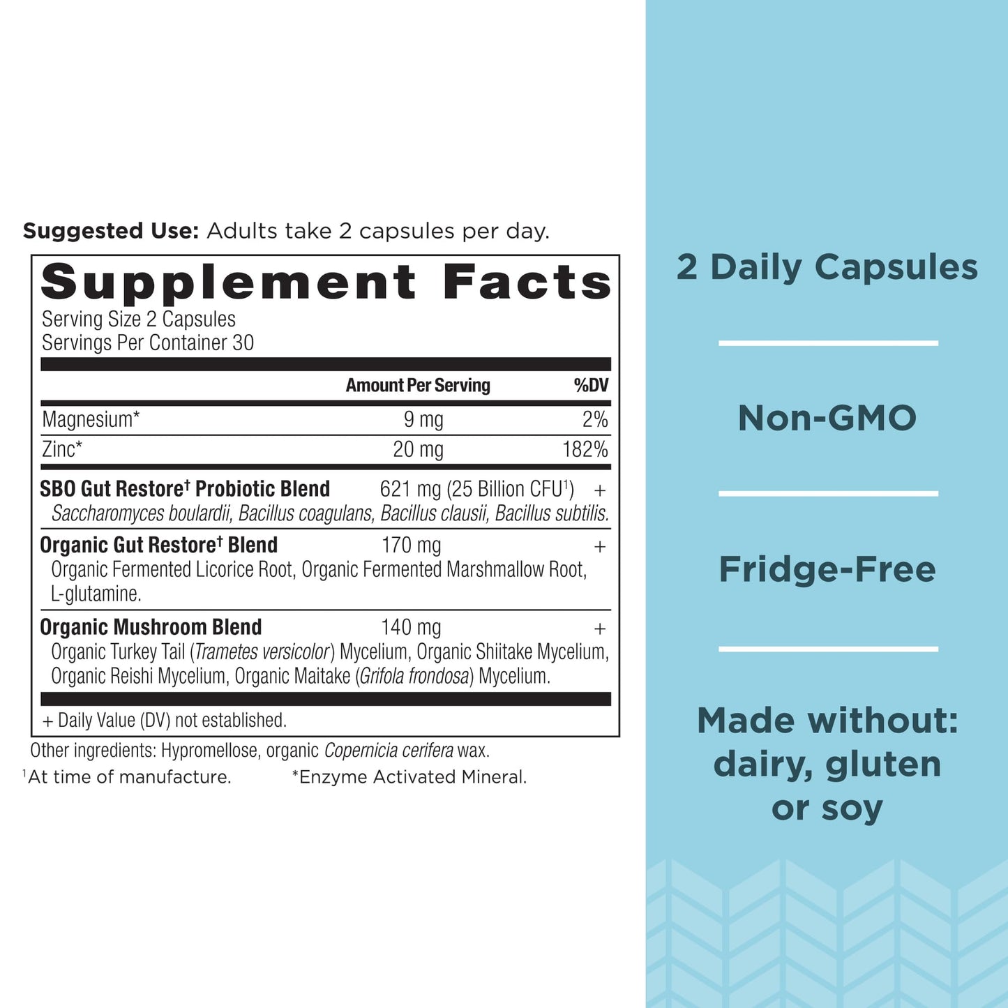 Ancient Nutrition SBO Gut Restore Probiotics Capsules (60 Count) + Leaky Gut Capsules (60 Count)
