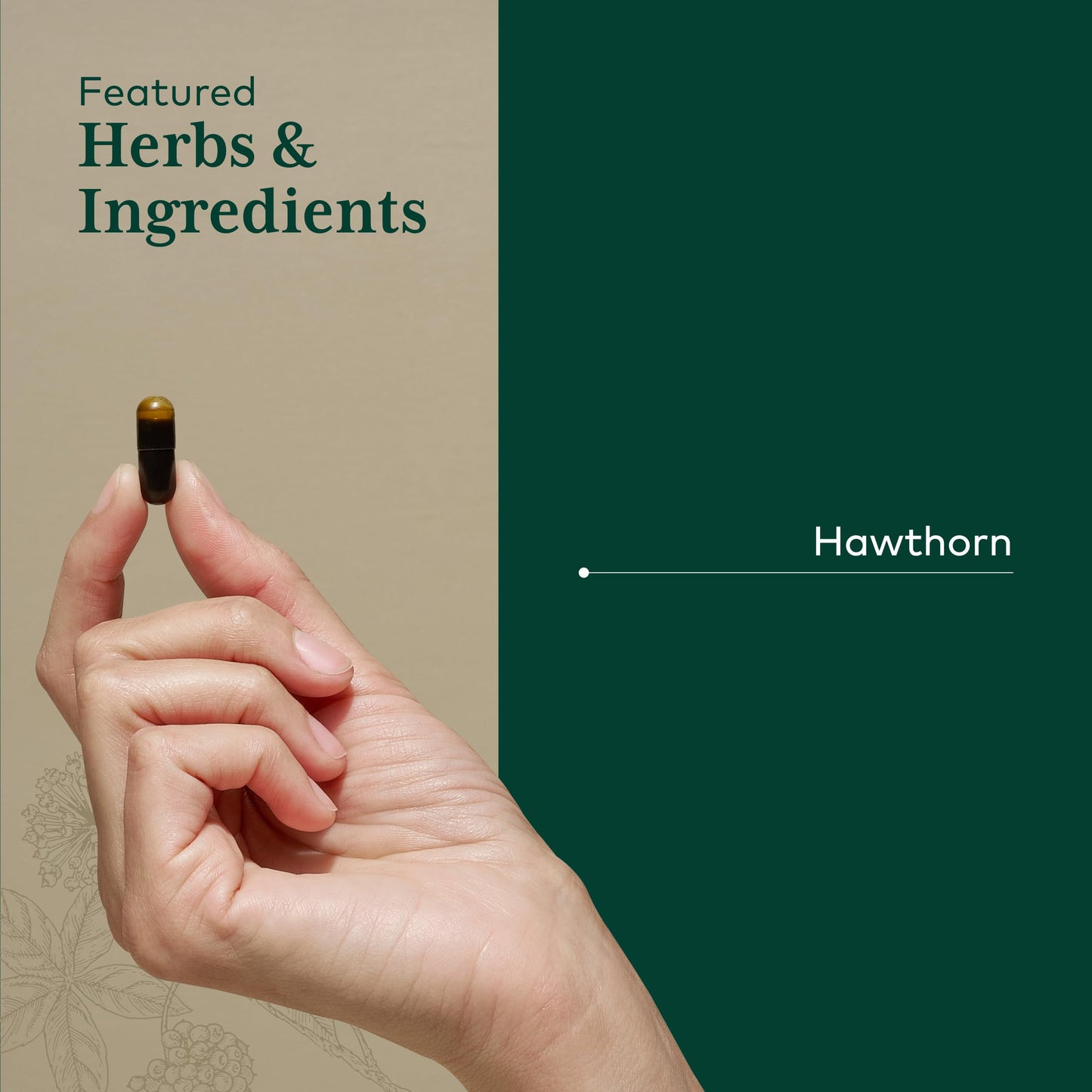GAIA HERBS PRO Hawthorn Cardiovascular Health Support Capsules, 60 Count
