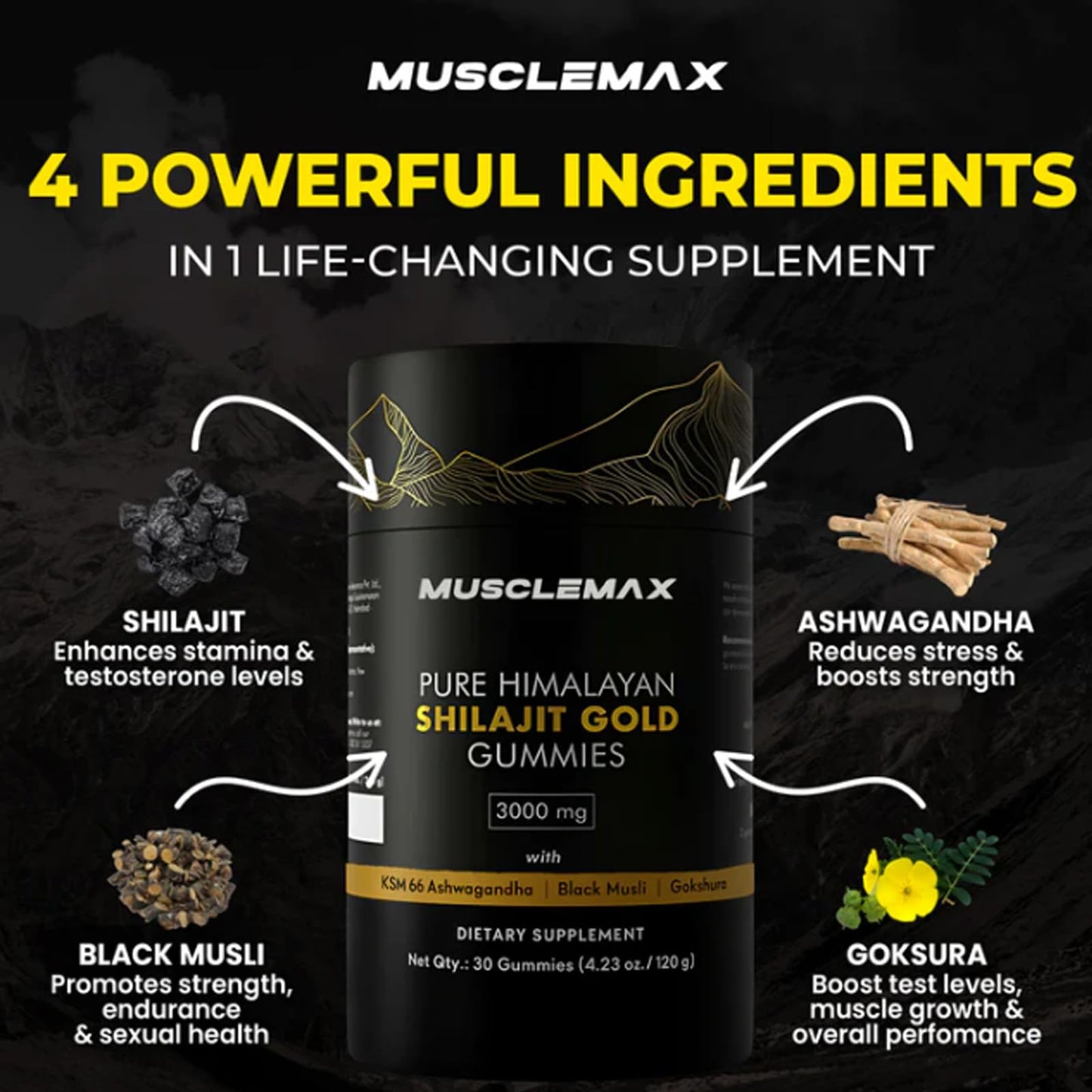 Evstyr Musclemax Pure Shilajit 60 Capsules