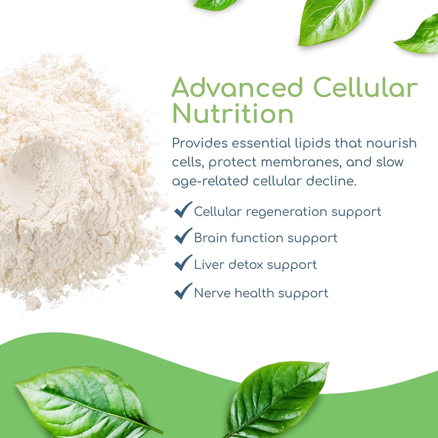 Return Healthy Phospholipid Synergy Powder 95