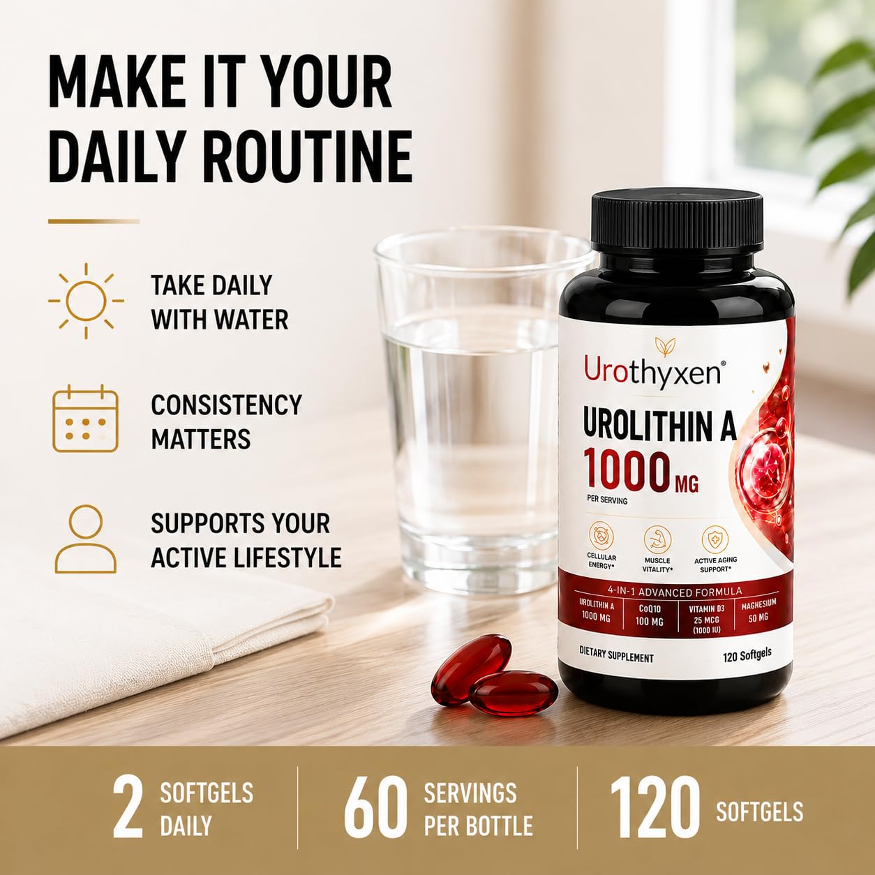 Urothyxen Urolithin A Supplement for Mitochondrial Support, Focus & Muscle Recovery Softgel 240