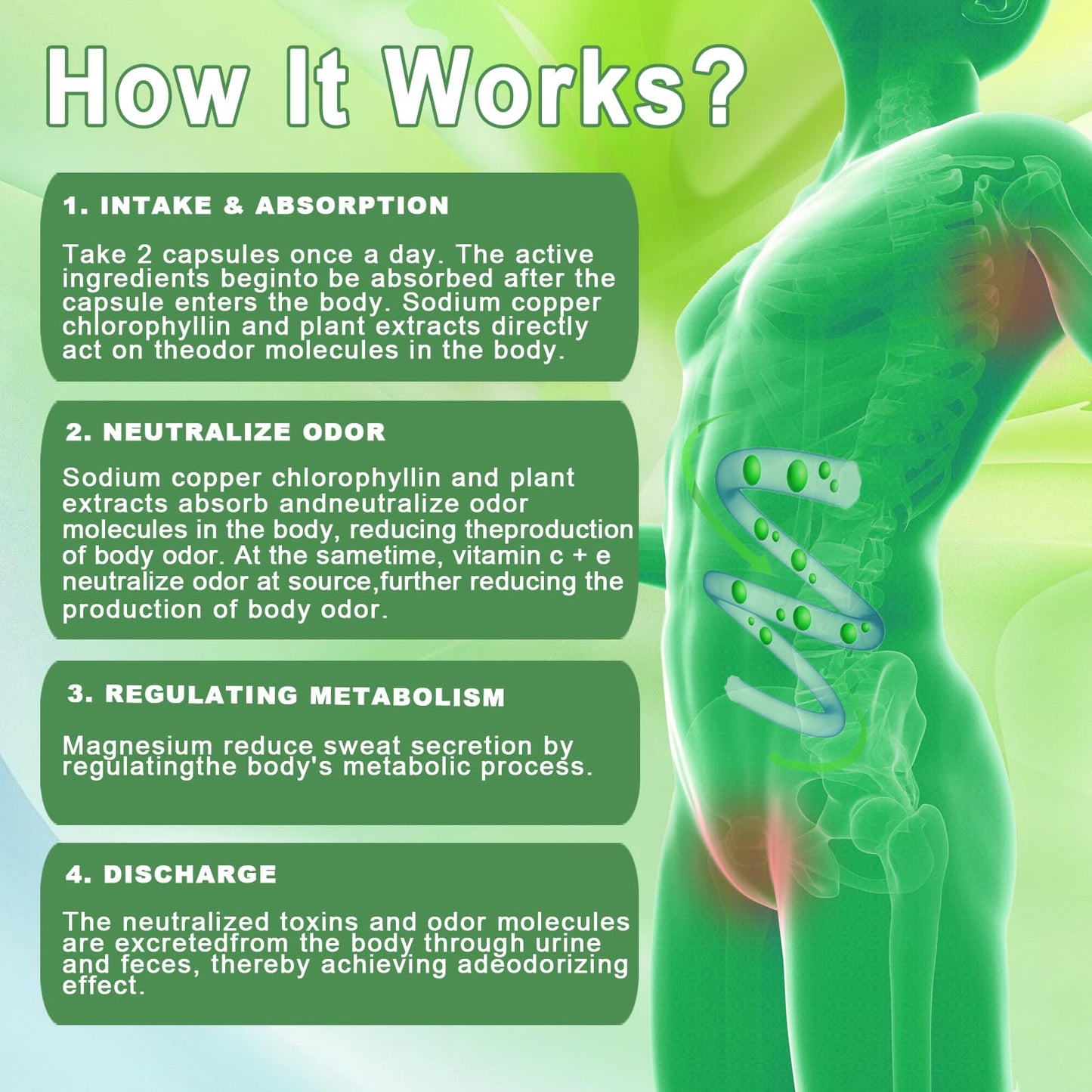 SXNWSN Body Deodorizing Supplement Chlorophyll Capsules 1 Count
