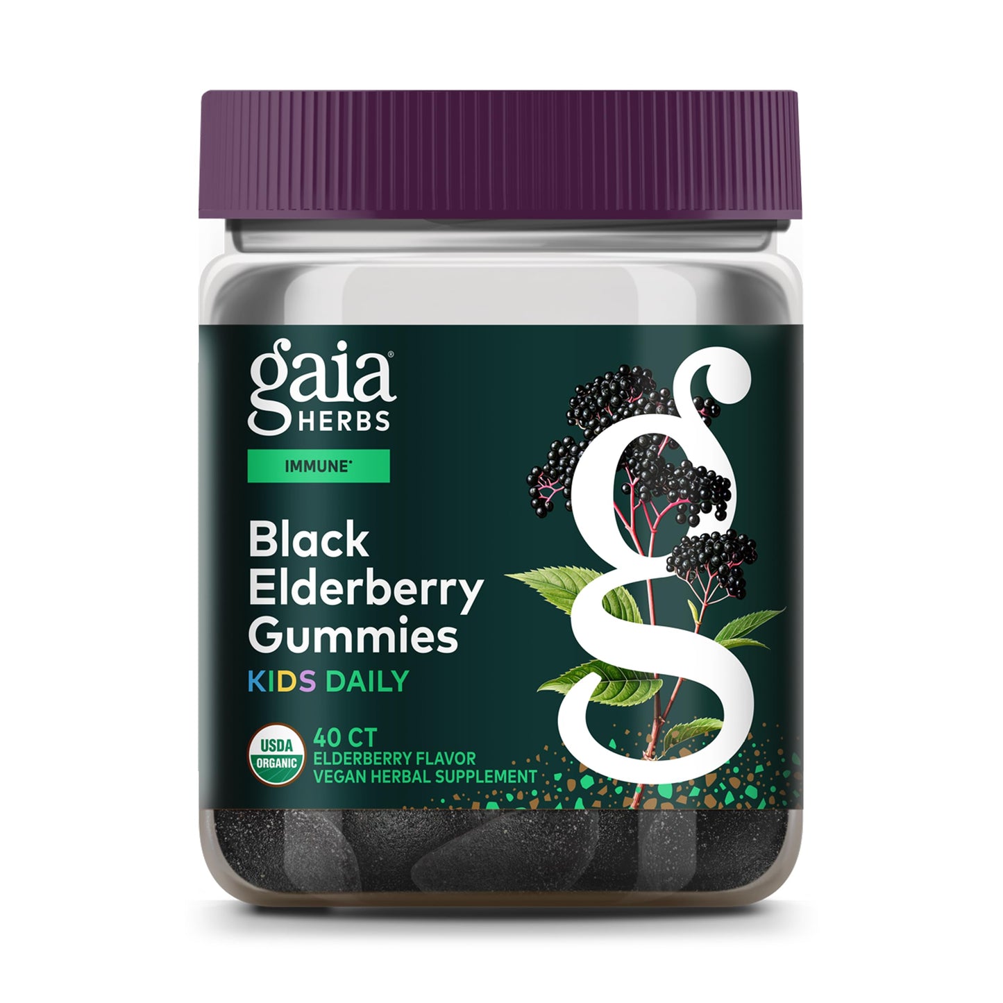 Gaia Herbs Black Elderberry Daily Gummies for Kids Capsules 40 Count