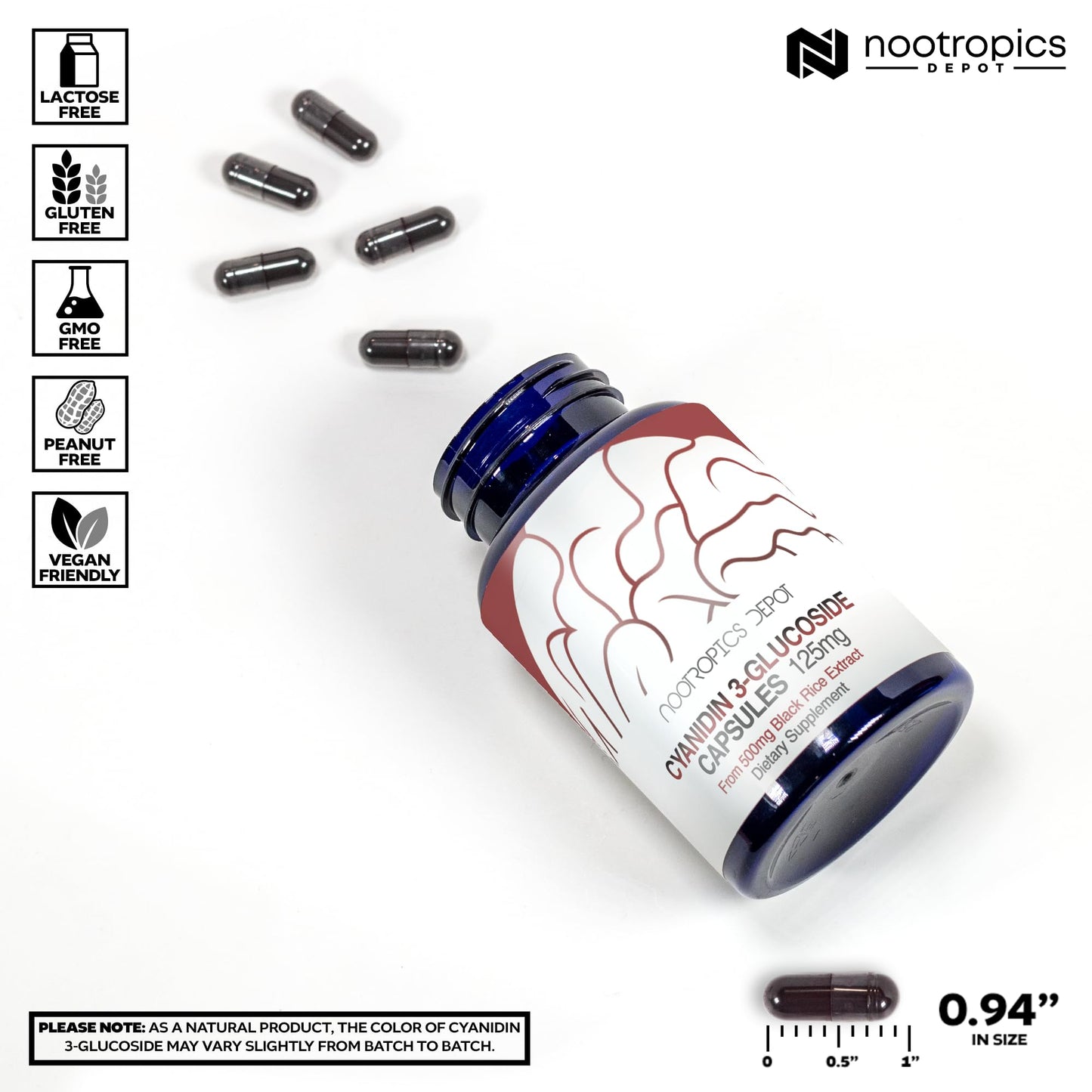 Nootropics Depot Cyanidin 3-Glucoside Capsules, 180 Count