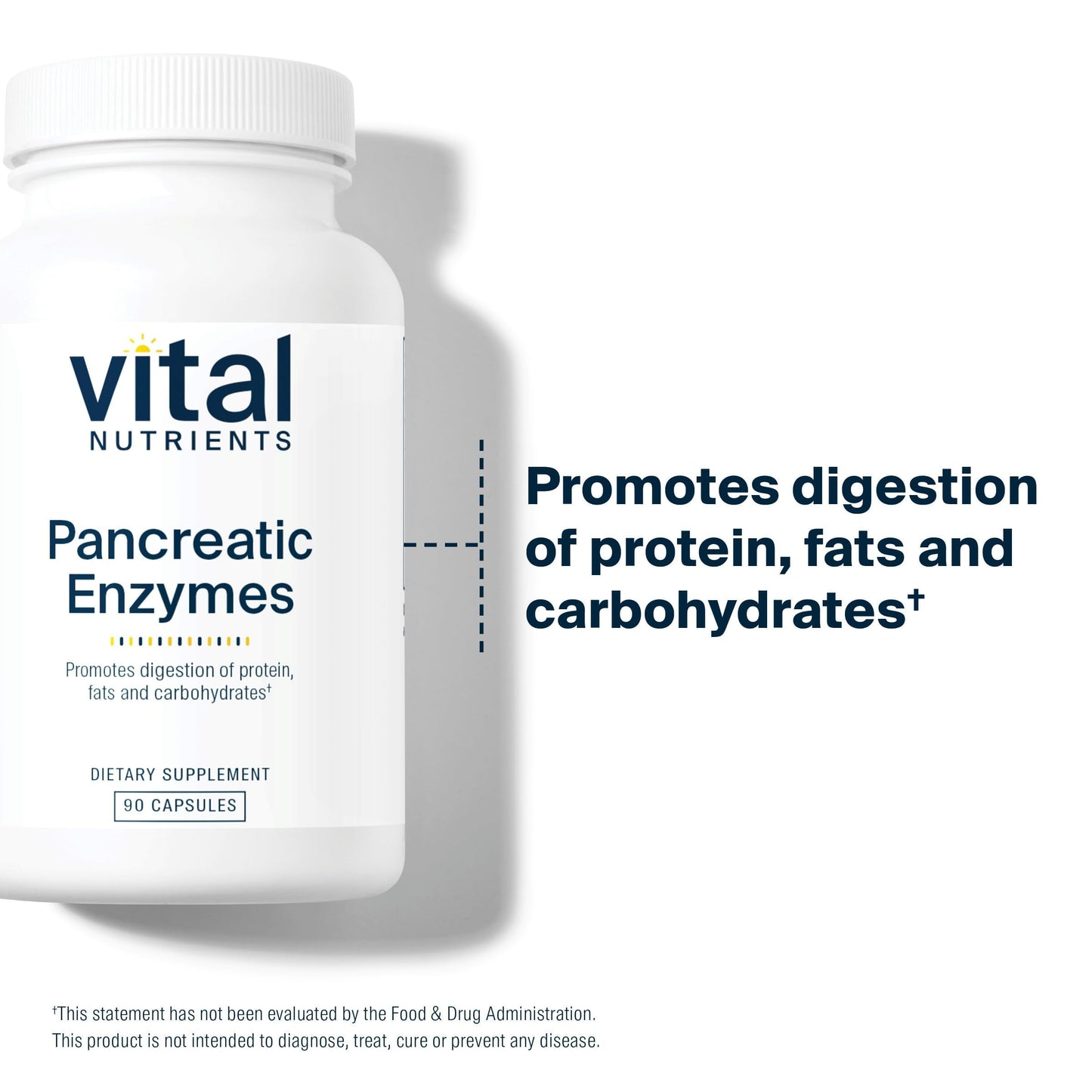 Vital Nutrients Pancreatic Enzymes 1000mg (Full Strength) Pancreatin Digestion Supplement with Protease, Amylase & Lipase Capsules, 90 Count